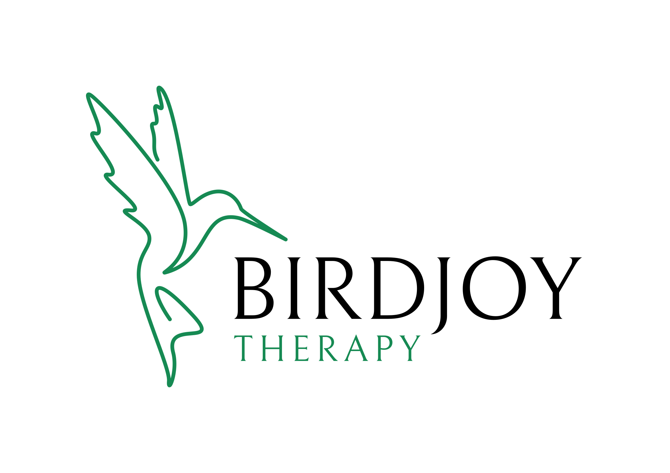 Logo with a stylized green bird outline and the words 'BIRDJOY THERAPY' in black and green.