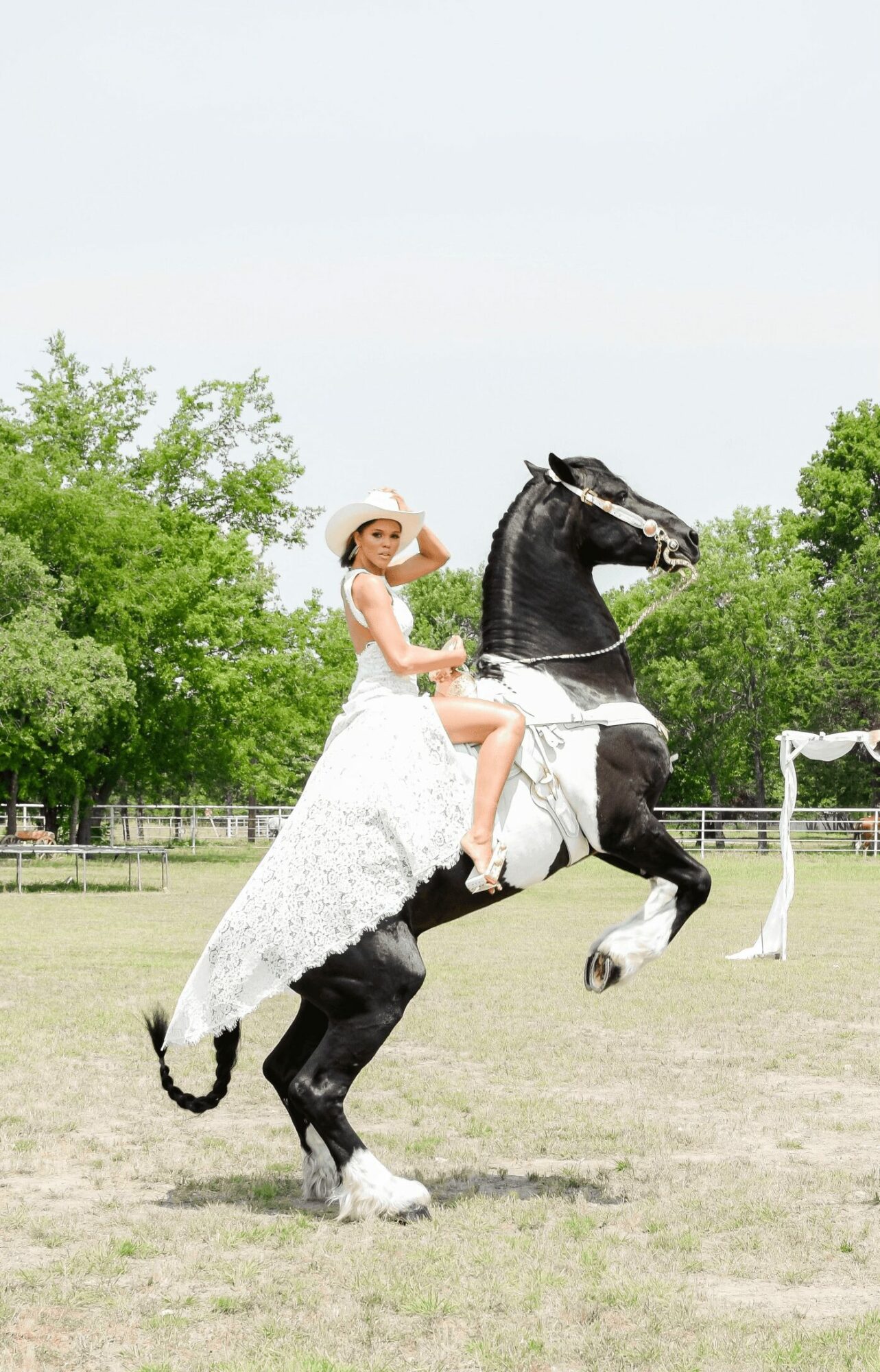 Woman riding a rearing black and white horse outdoors with trees and a white tent in the background.