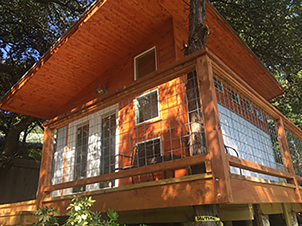 Wooden house with large windows, balcony, and trees in background, sunlight casting shadows on the structure.