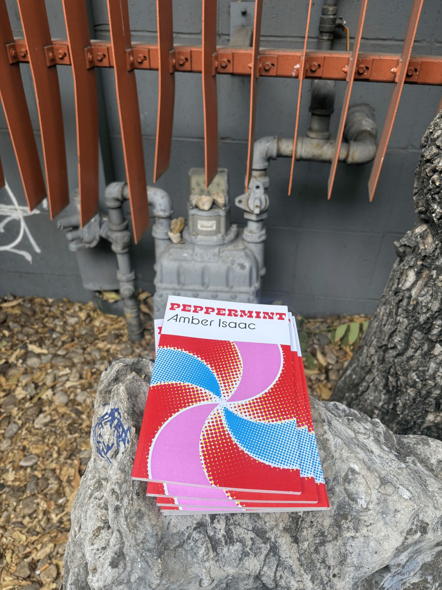 A stack of peppermint-flavored gum packs on a large rock outdoors, with pipes and a fence in the background.