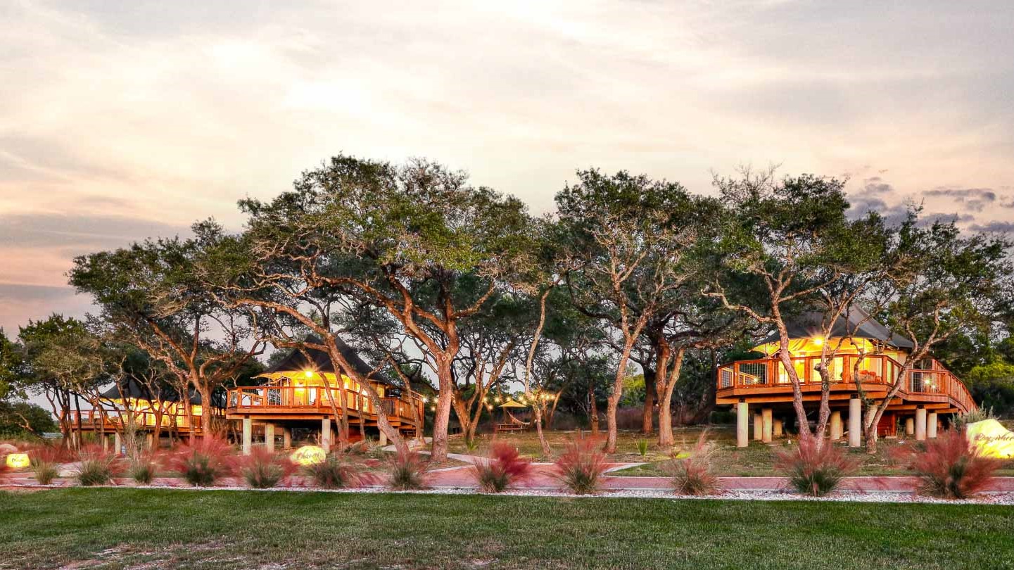 A building with large trees in front, illuminated at dusk, with a landscaped area and pathway in foreground.