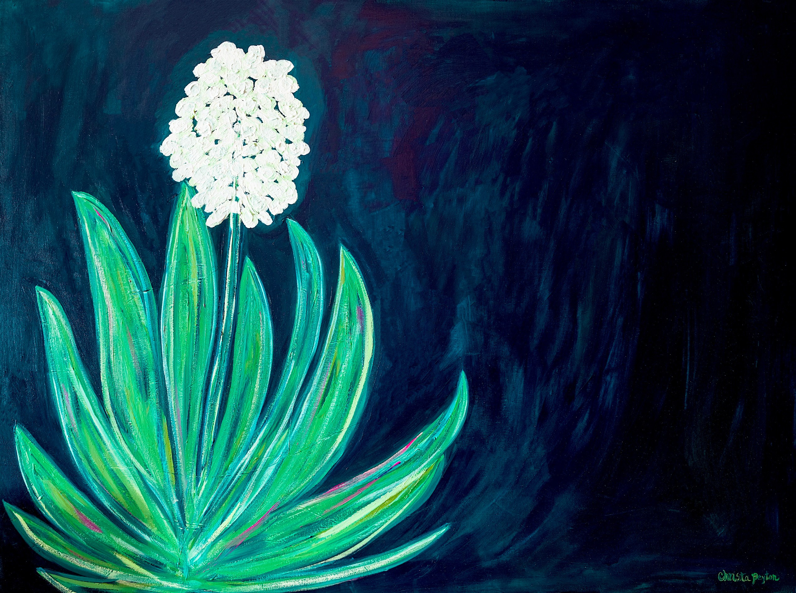 A white flower with green leaves on a dark background, painted in a vibrant, abstract style.