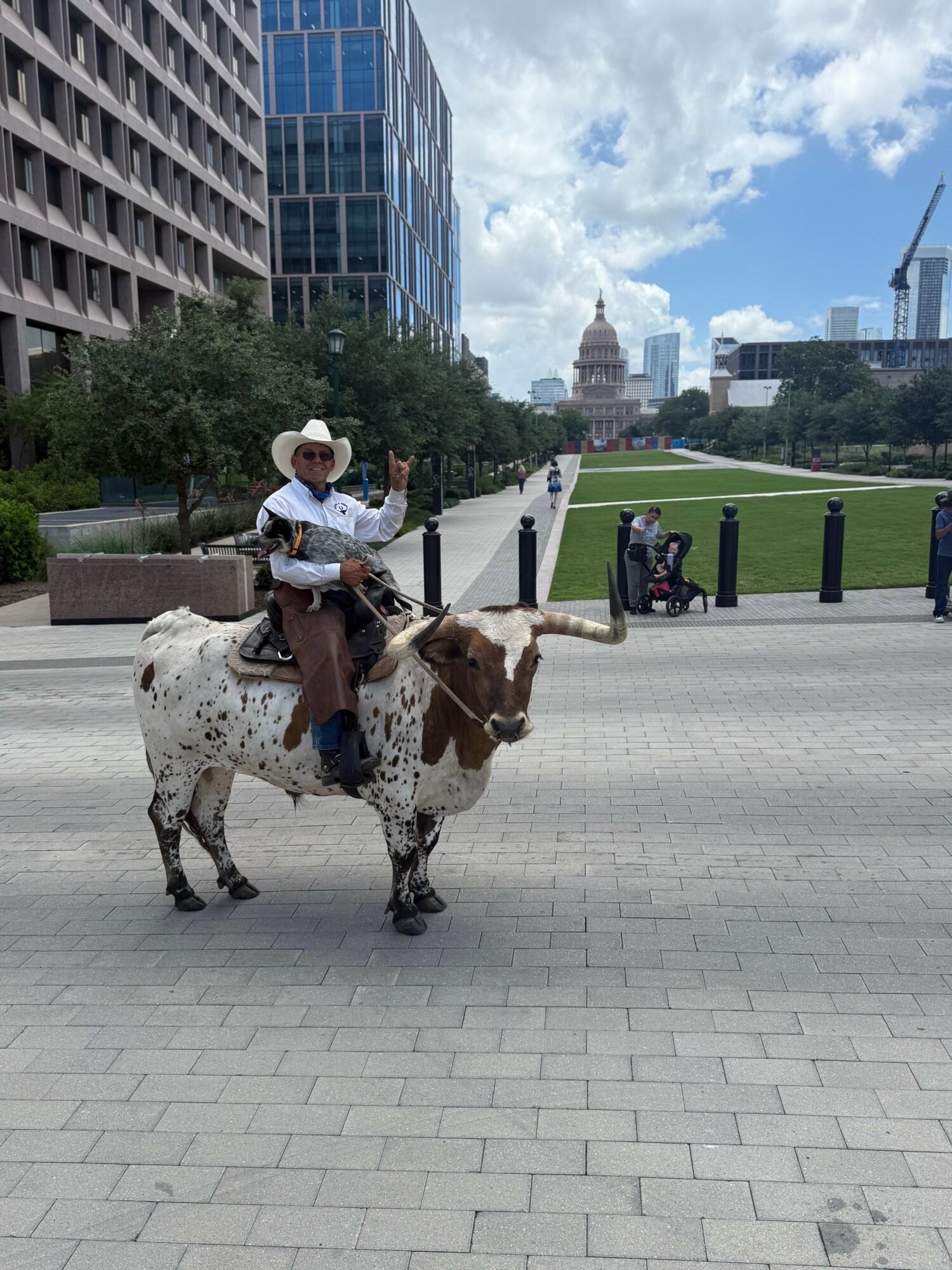 Person wearing a cowboy hat riding a small spotted horse in an urban park with city buildings and a dome in the background.