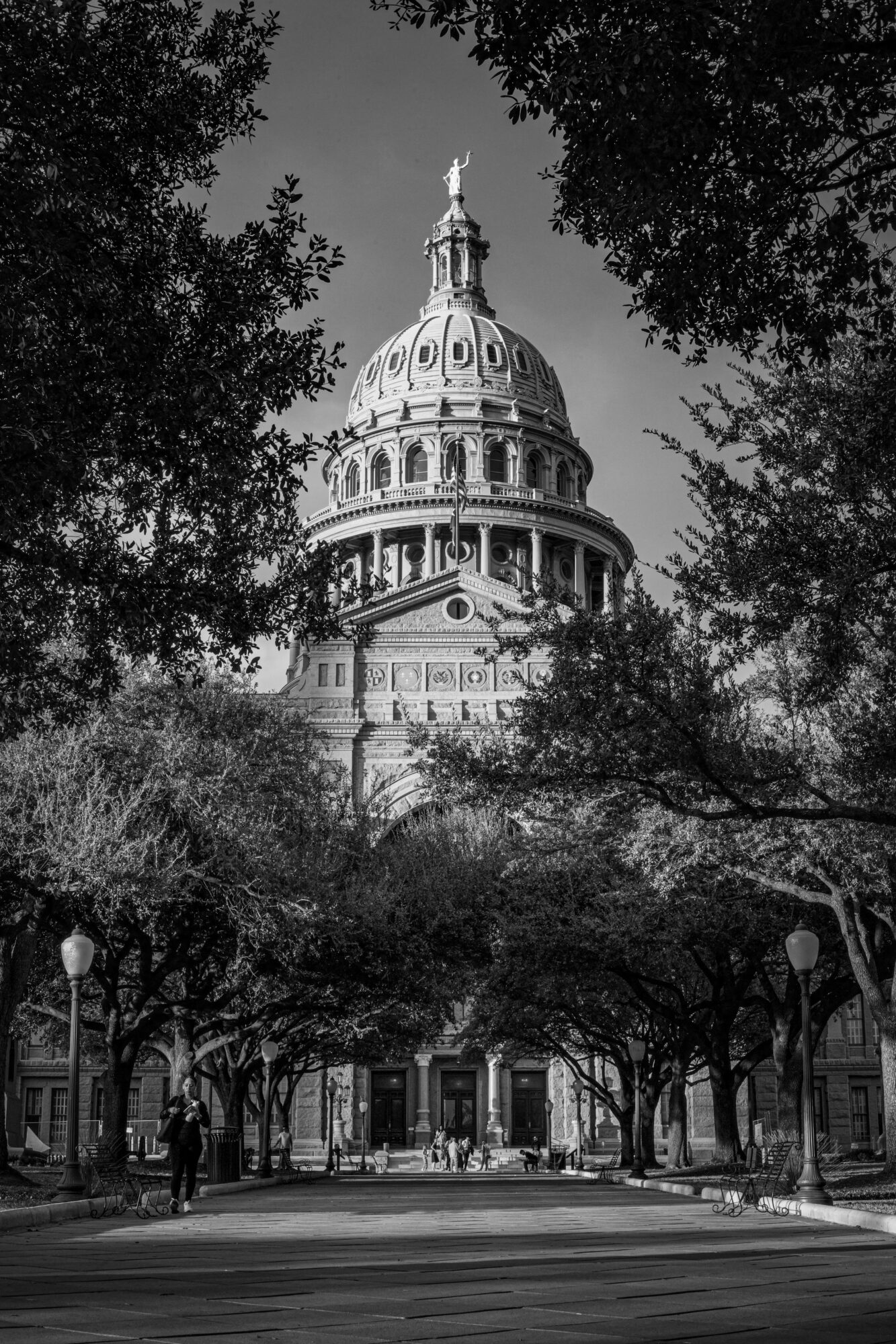 Capitol building with a large dome, framed by trees and a street scene in front.
