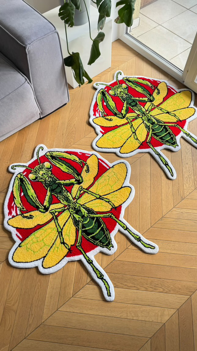 Two colorful insect-shaped rugs on a wooden floor near a gray sofa and glass door, with a plant nearby.