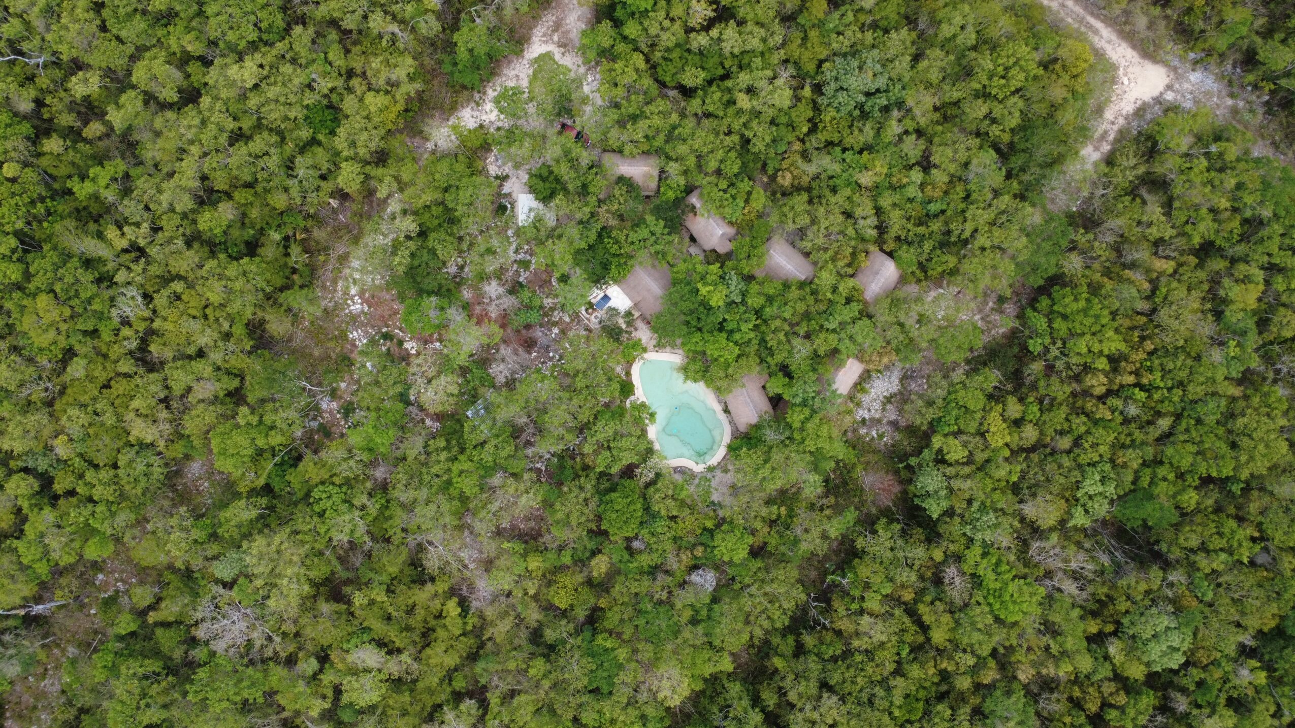 A small pool surrounded by dense green trees, viewed from above.