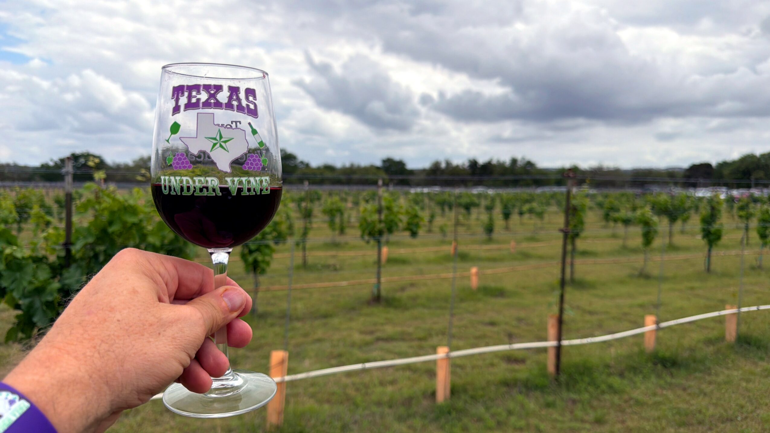 Hand holding a glass of red wine with a vineyard and cloudy sky in the background.