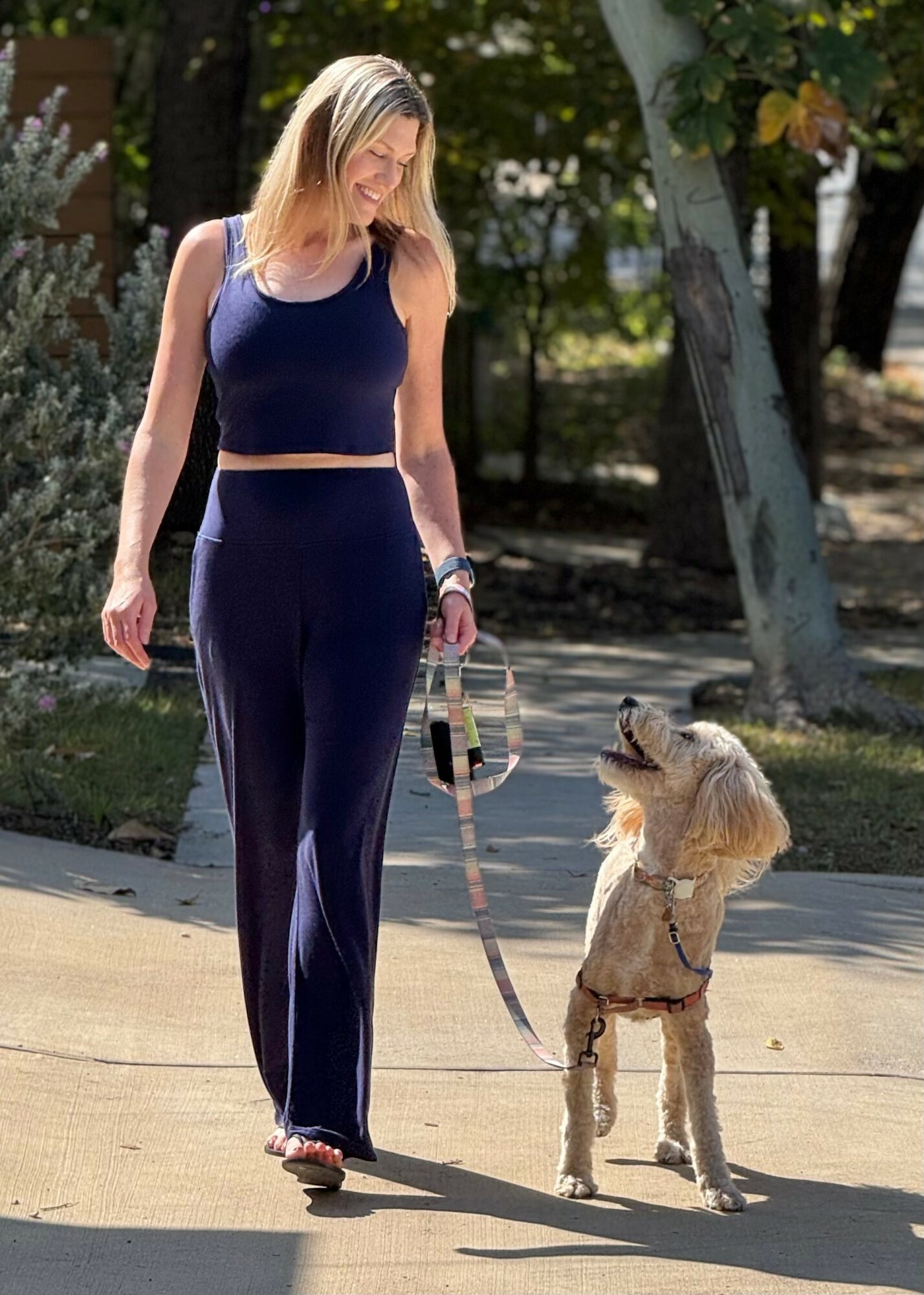 Woman walking a dog on a leash outdoors, trees and sunlight in background.