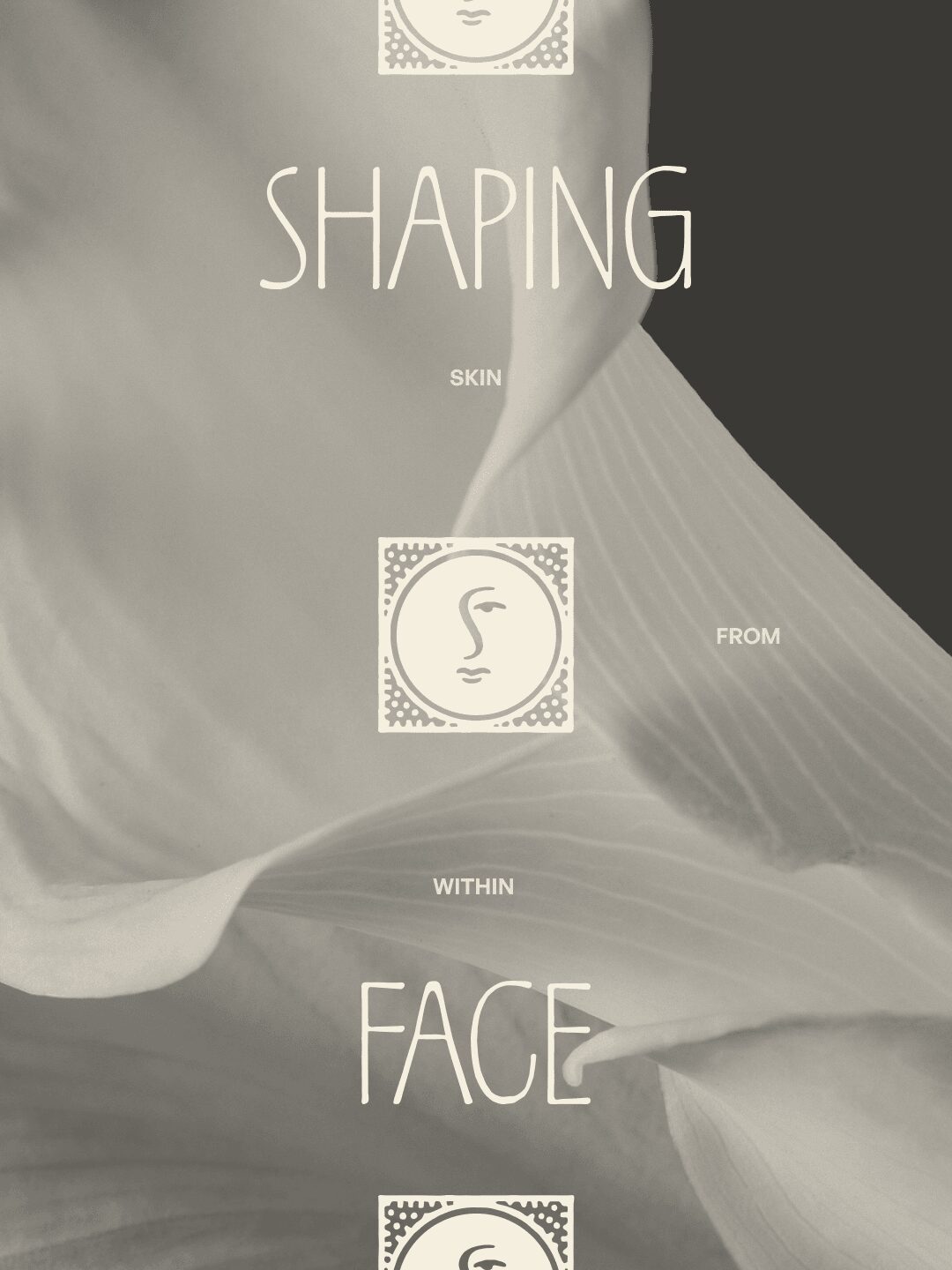 Abstract background with text about shaping skin and face, featuring a face outline and decorative borders.