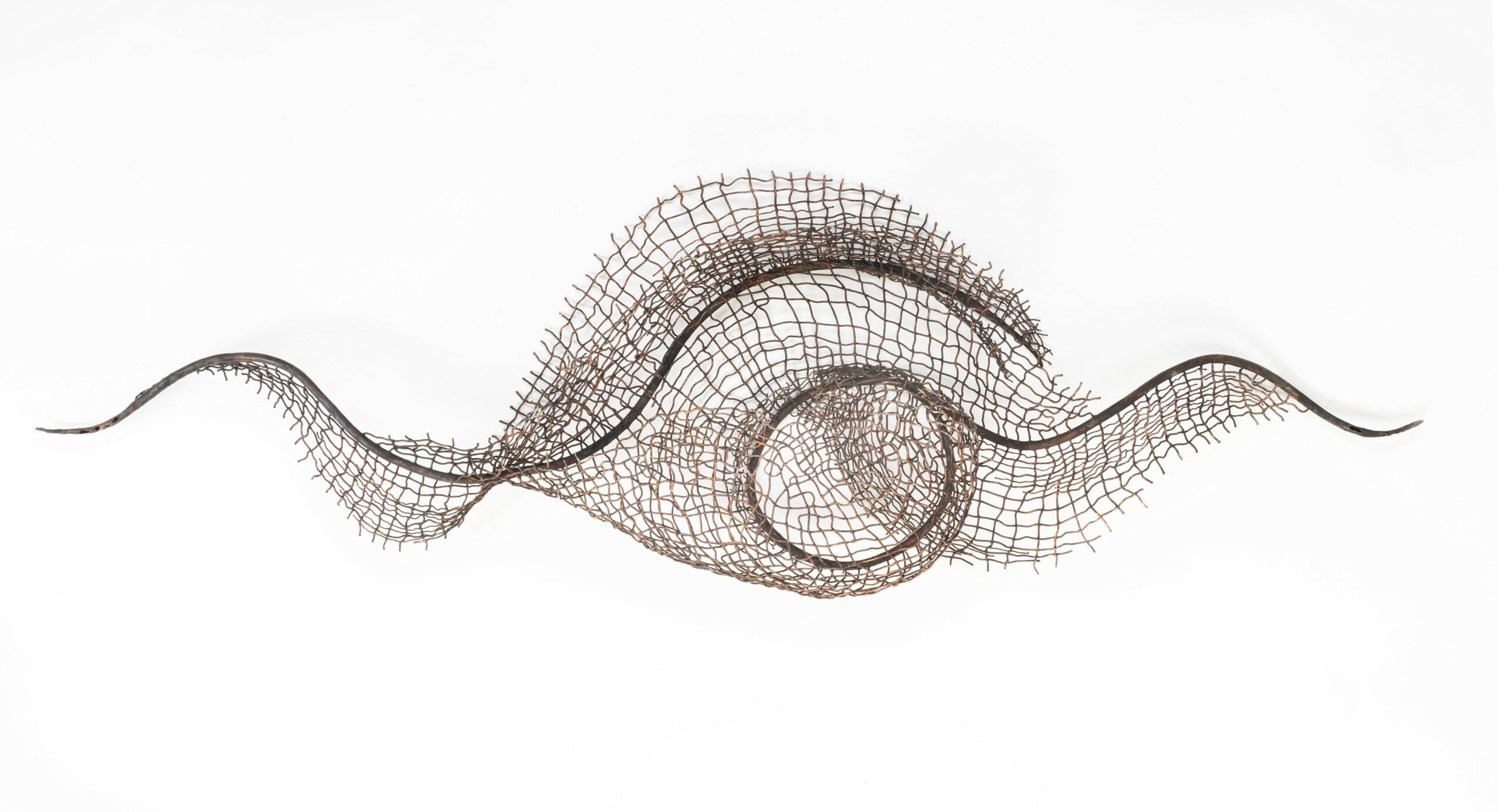 A wireframe abstract shape resembling a wave or eye, with a central circular element and flowing curves.