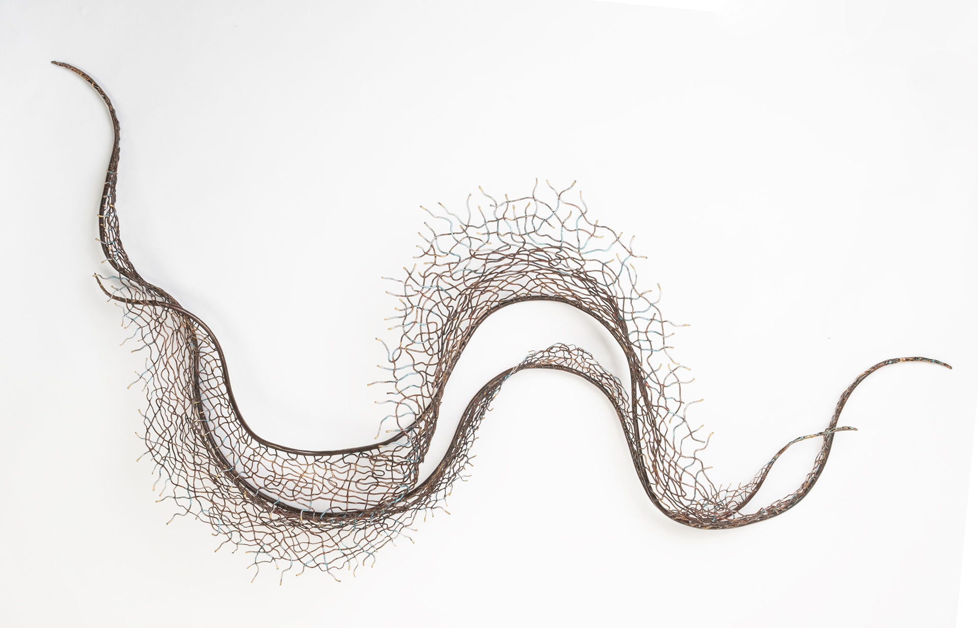 A long, thin, curly, and textured object with a wavy shape on a white background.