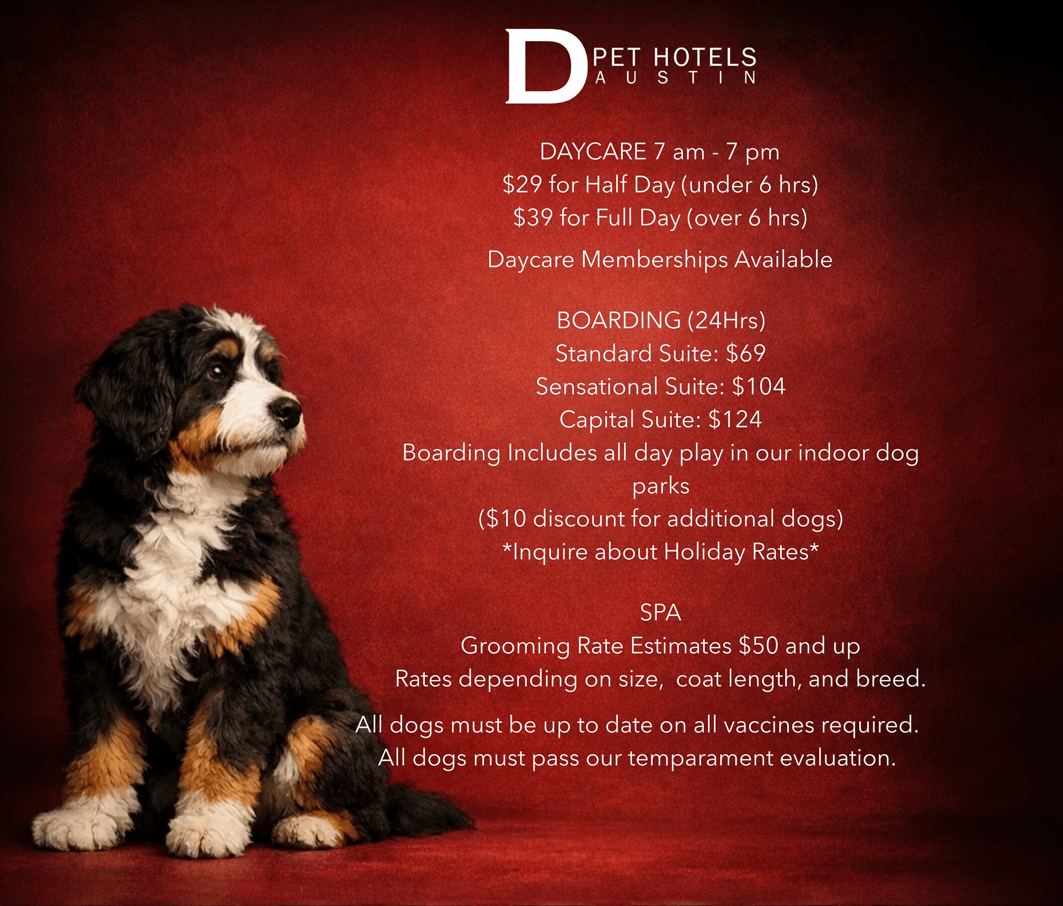 A Bernese Mountain Dog puppy sitting on a red background with white text about pet hotel services and rates.