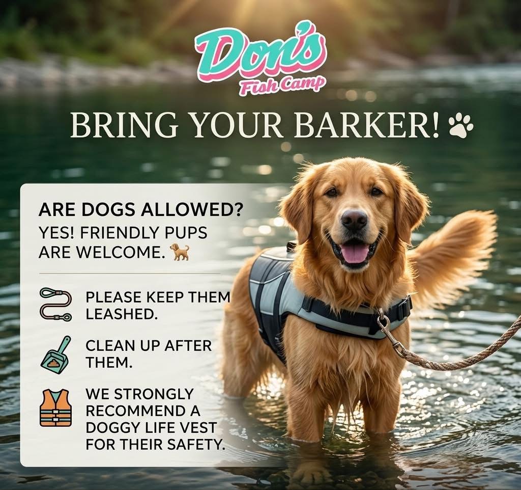 Golden retriever in water wearing a harness, smiling, with text about bringing dogs to camp and safety rules.