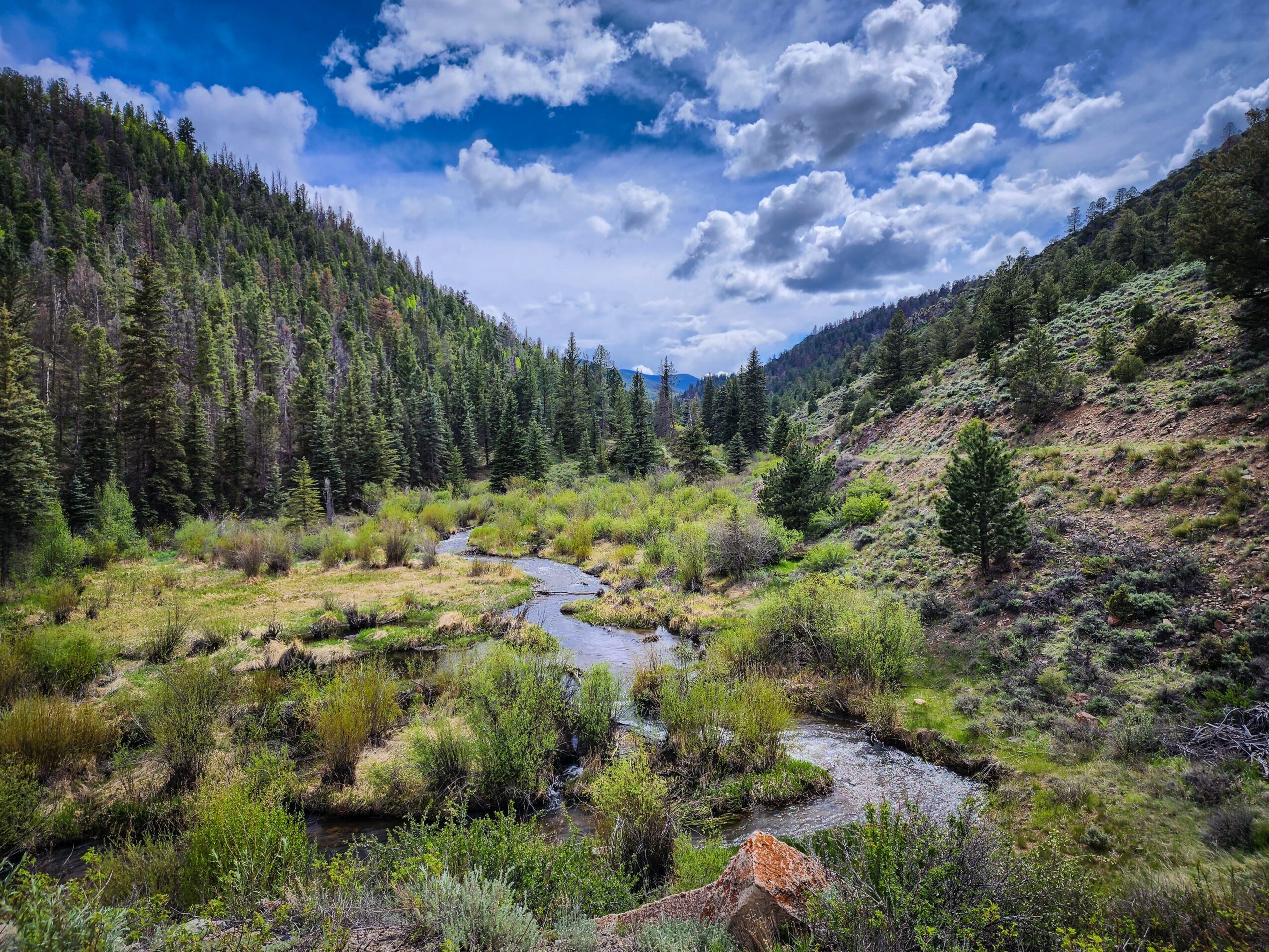 Mountain valley with a stream, green trees, and a partly cloudy sky.