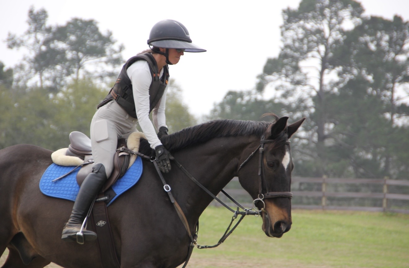 Person riding a dark horse outdoors, wearing a helmet and riding gear, with trees and a fence in the background.