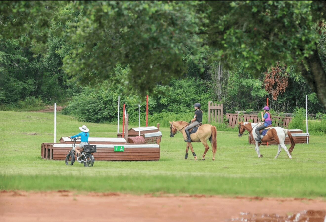 People riding horses and a person walking with a dog in a grassy park with trees, horse jumps, and a fence.