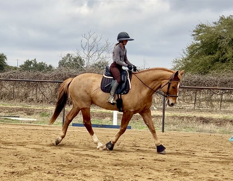 Person riding a horse on a dirt track, wearing a helmet and riding gear, with trees and cloudy sky in background.