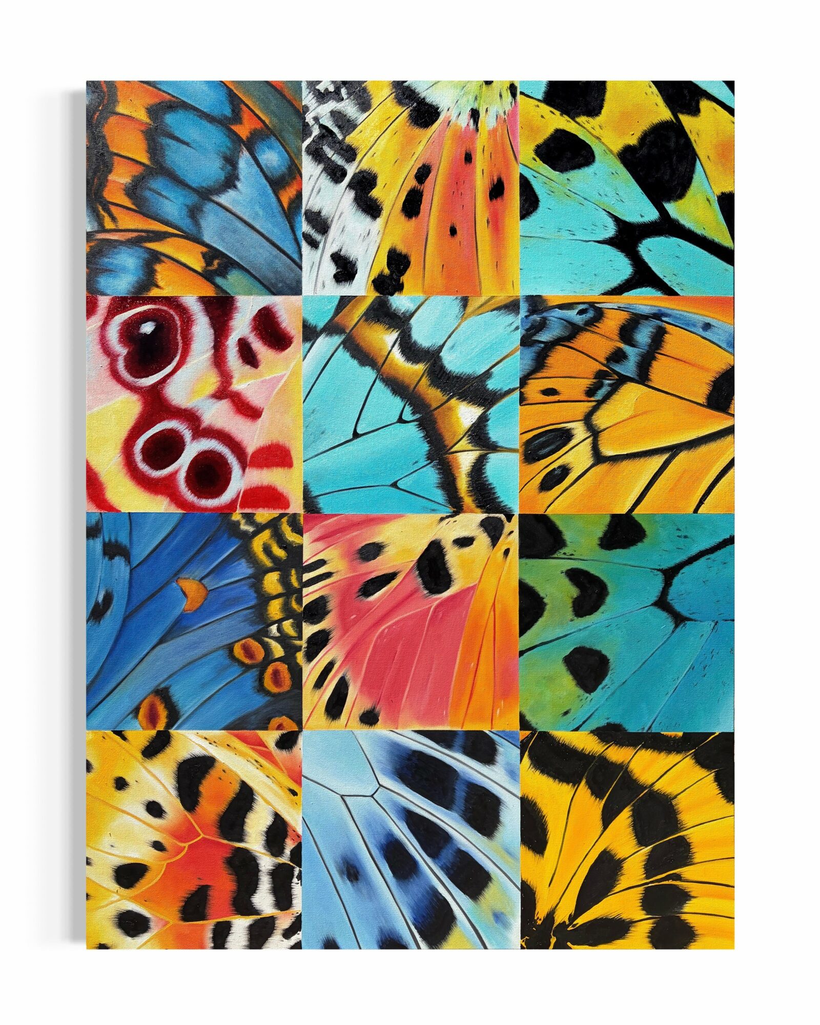 Collage of colorful butterfly wings with various patterns and colors, arranged in a grid. Word count: 20.