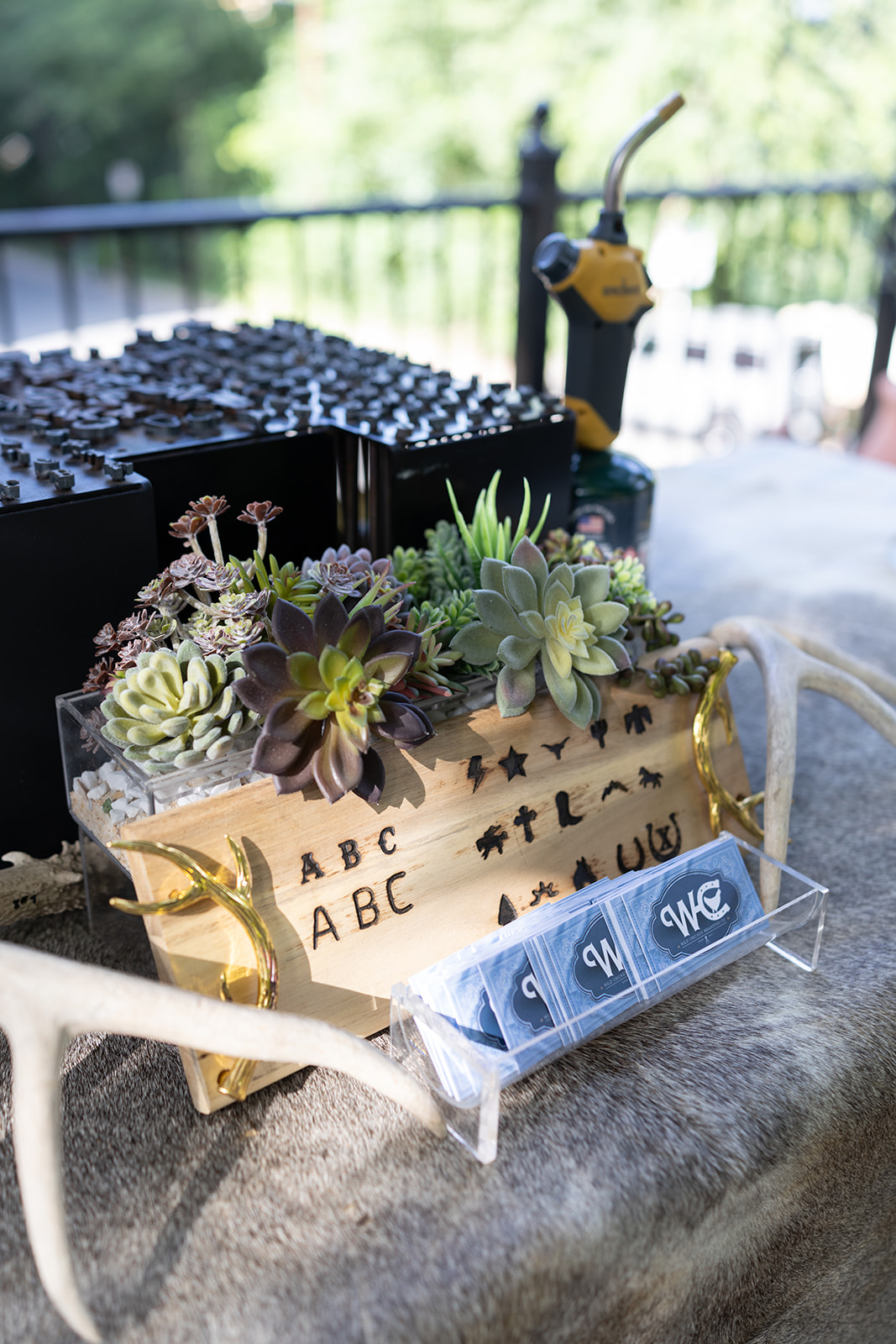 A decorated box with succulents, alphabet and star stickers, and a small chalkboard sign reading 'we' on a table outdoors.