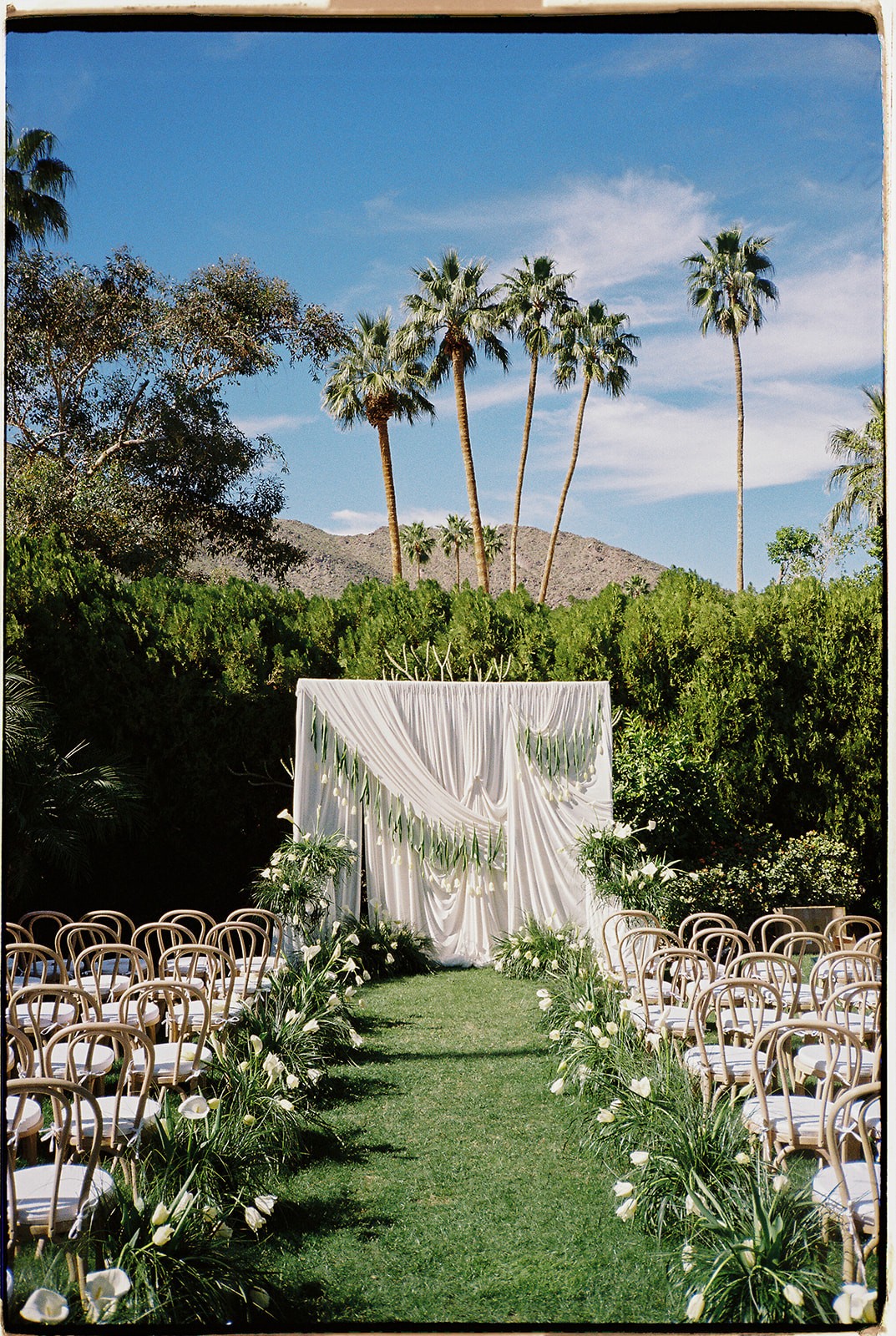 Outdoor wedding setup with chairs, floral decorations, and a white backdrop, surrounded by palm trees and greenery under a blue sky.