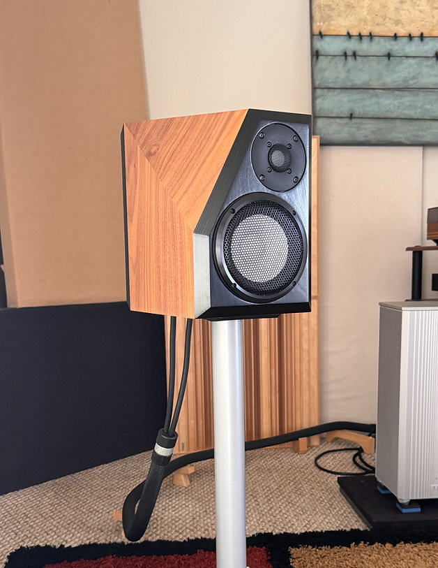 Wooden speaker on a stand in a room with various furniture and decor, cables visible nearby.