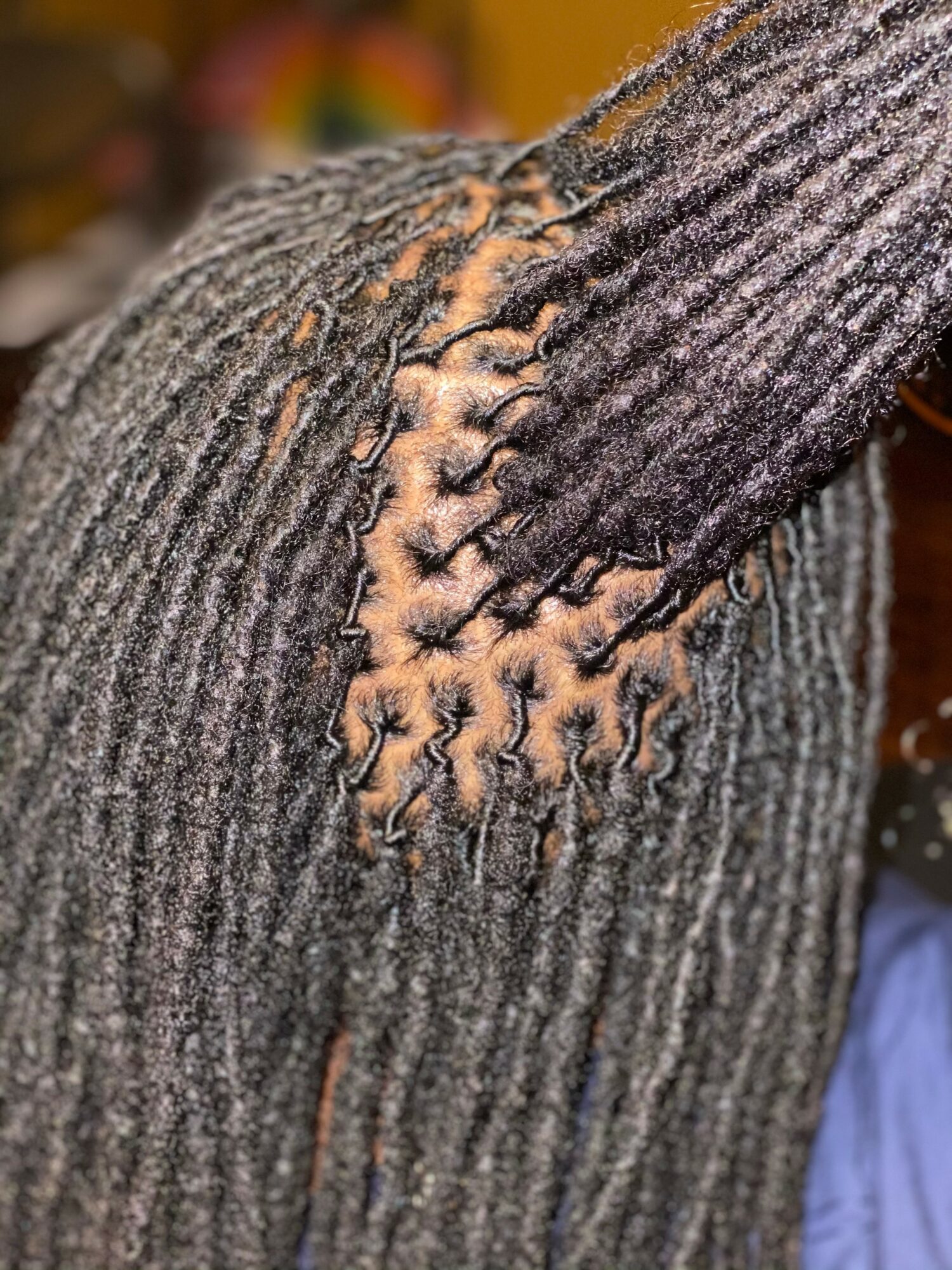 Close-up of a tree trunk with textured bark and a section of damaged or peeling bark revealing inner layers.
