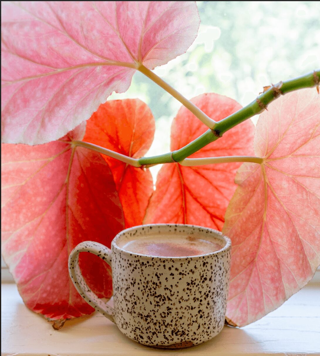 A speckled ceramic mug in front of pink and orange leaves with a green stem, on a white surface.