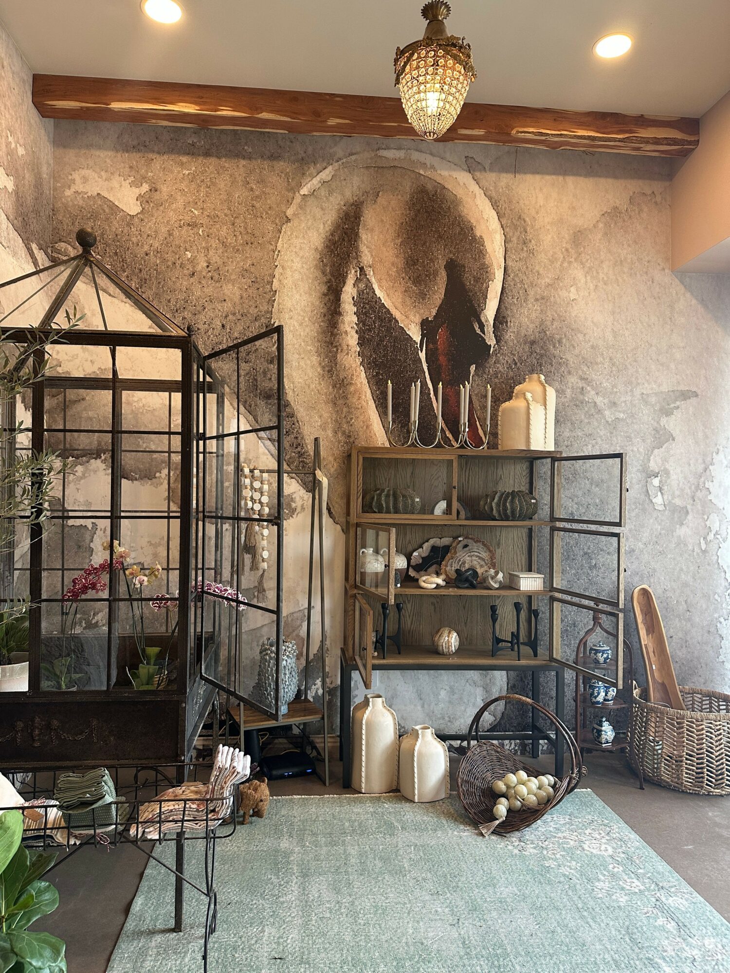 Interior with a textured wall, a large animal hide, metal shelving with plants and decor, and a green rug.