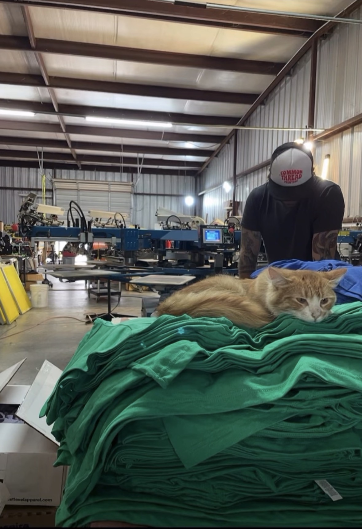 Orange cat lying on green fabric in an industrial warehouse with machinery and a person wearing a helmet in the background.