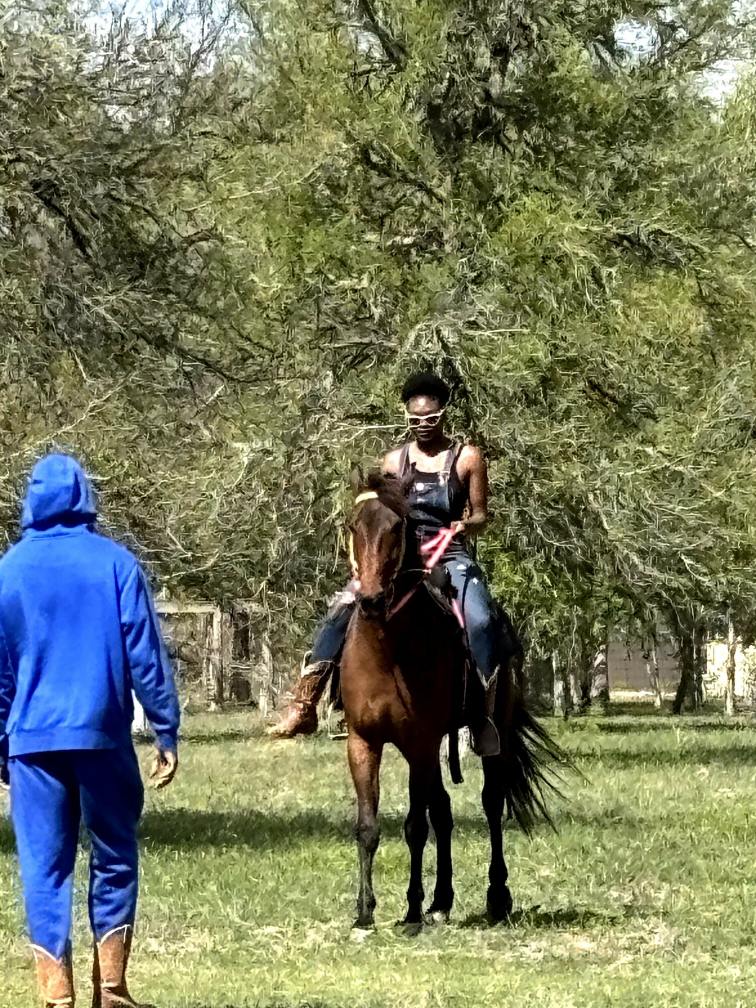 Person riding a horse outdoors with trees in the background, another person standing nearby wearing a blue hoodie and pants.