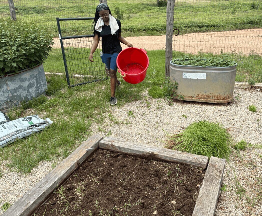 Person with a hat and mask holding a red bucket outdoors near a garden bed and plants.