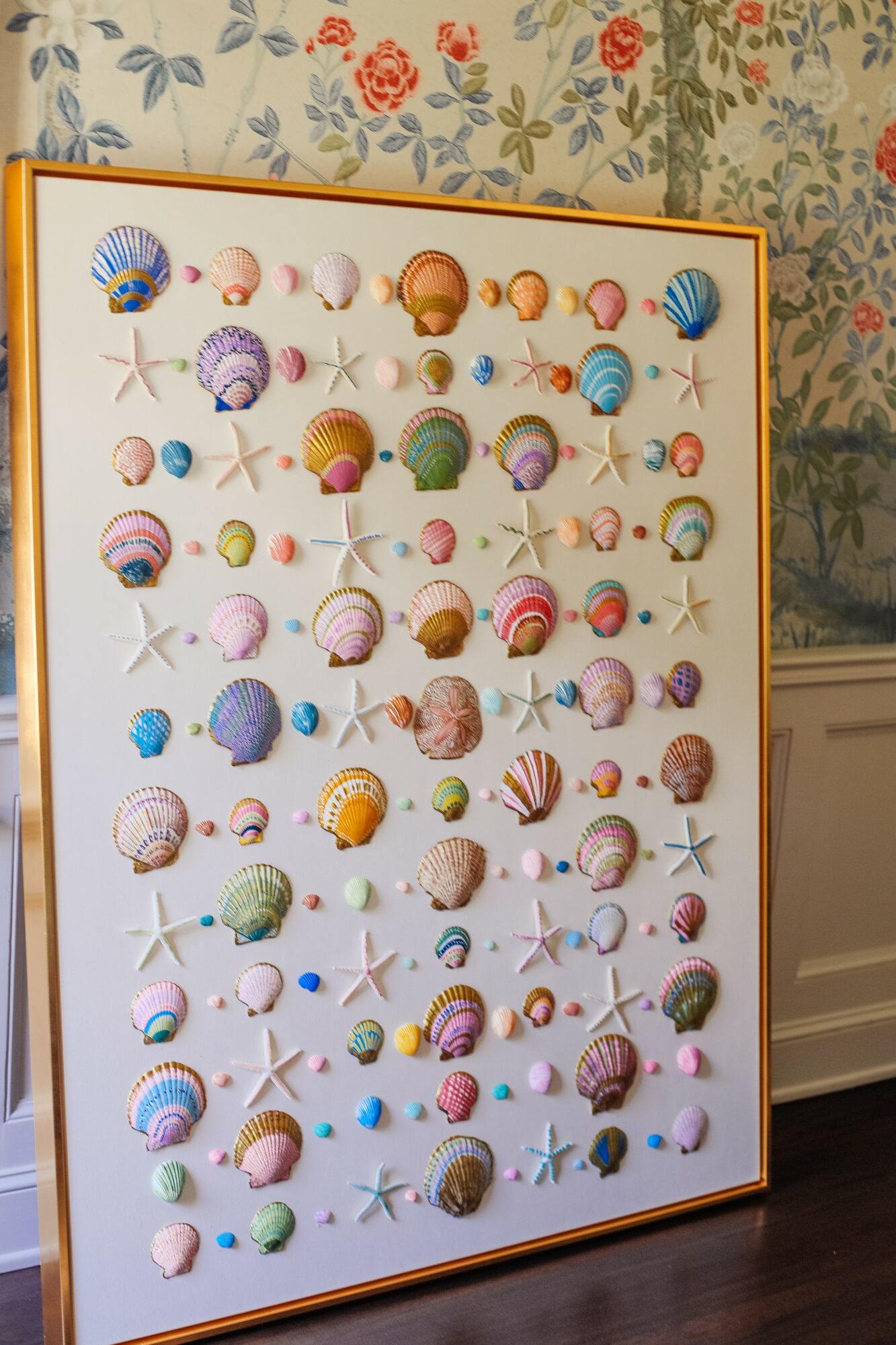 Display board with colorful seashells and starfish arranged in rows, with a floral wallpaper background.