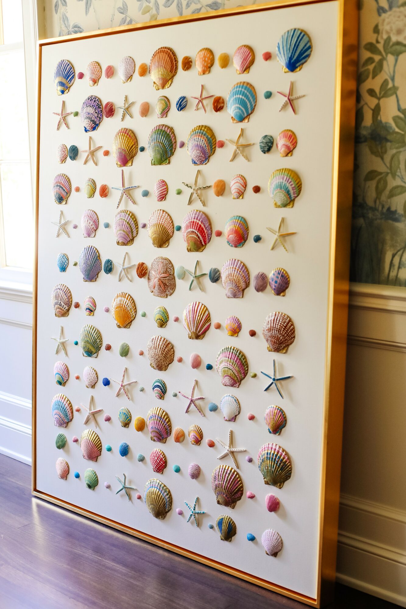 Display of various seashells and starfish arranged in rows on a white background, framed in wood, indoors.