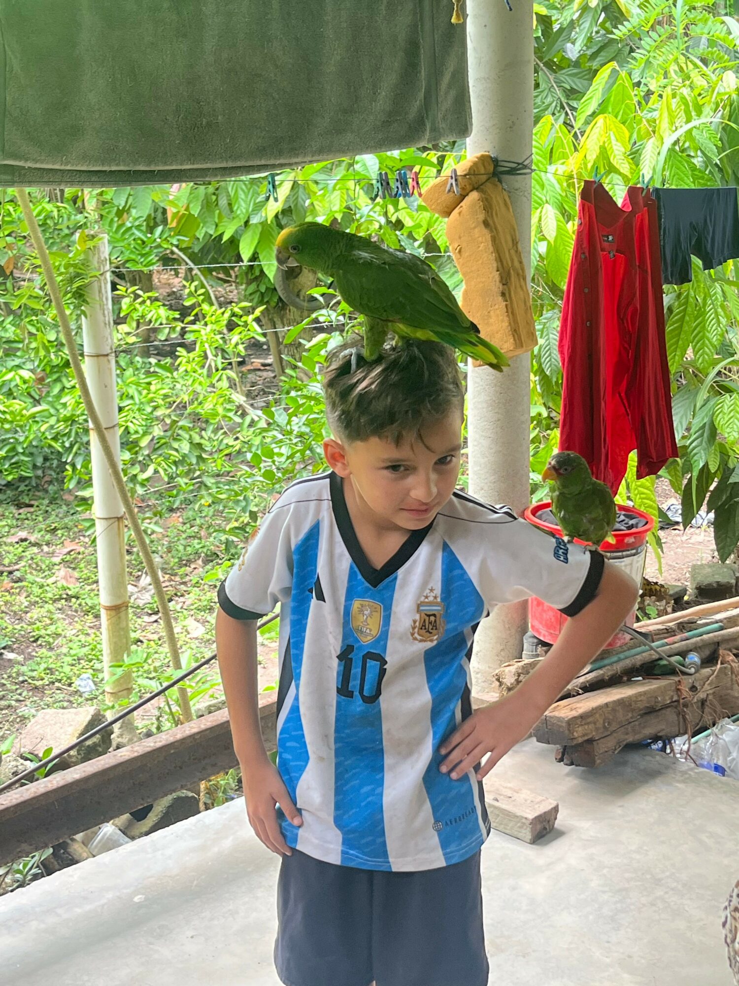 Child in a striped sports jersey standing outdoors near plants and a tree, holding a stick, with red and green objects nearby.