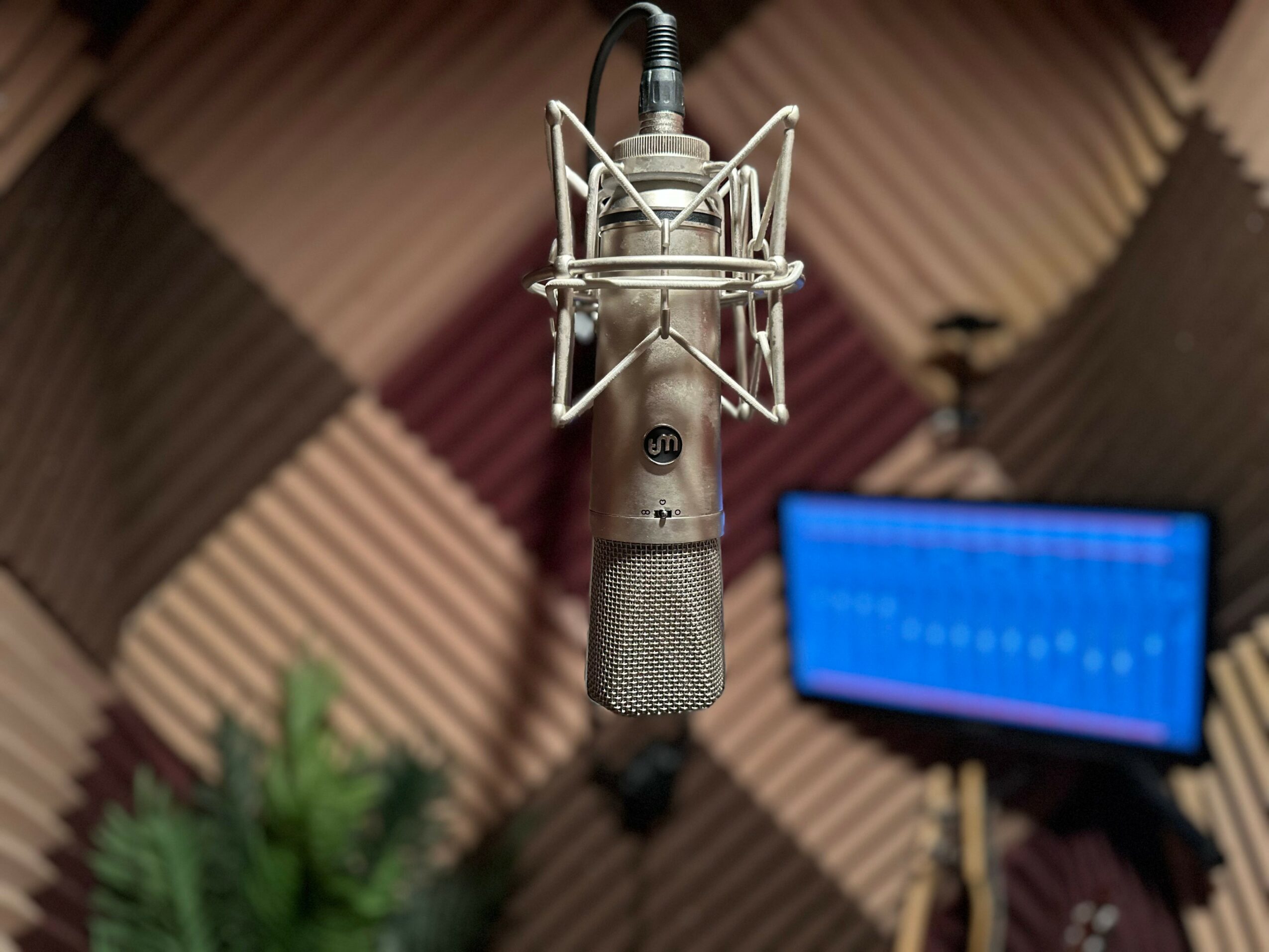 Studio microphone in front of soundproofing panels and a computer monitor, with a plant in the foreground.