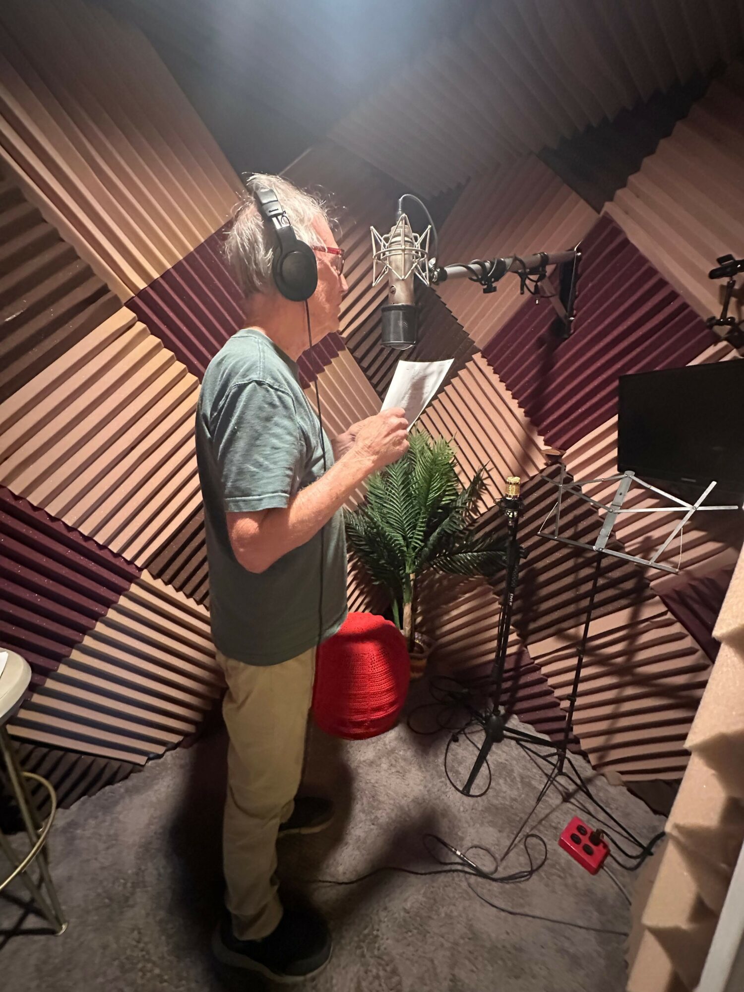 Person standing in a room with colorful wall panels, holding a phone, with a plant and equipment nearby.