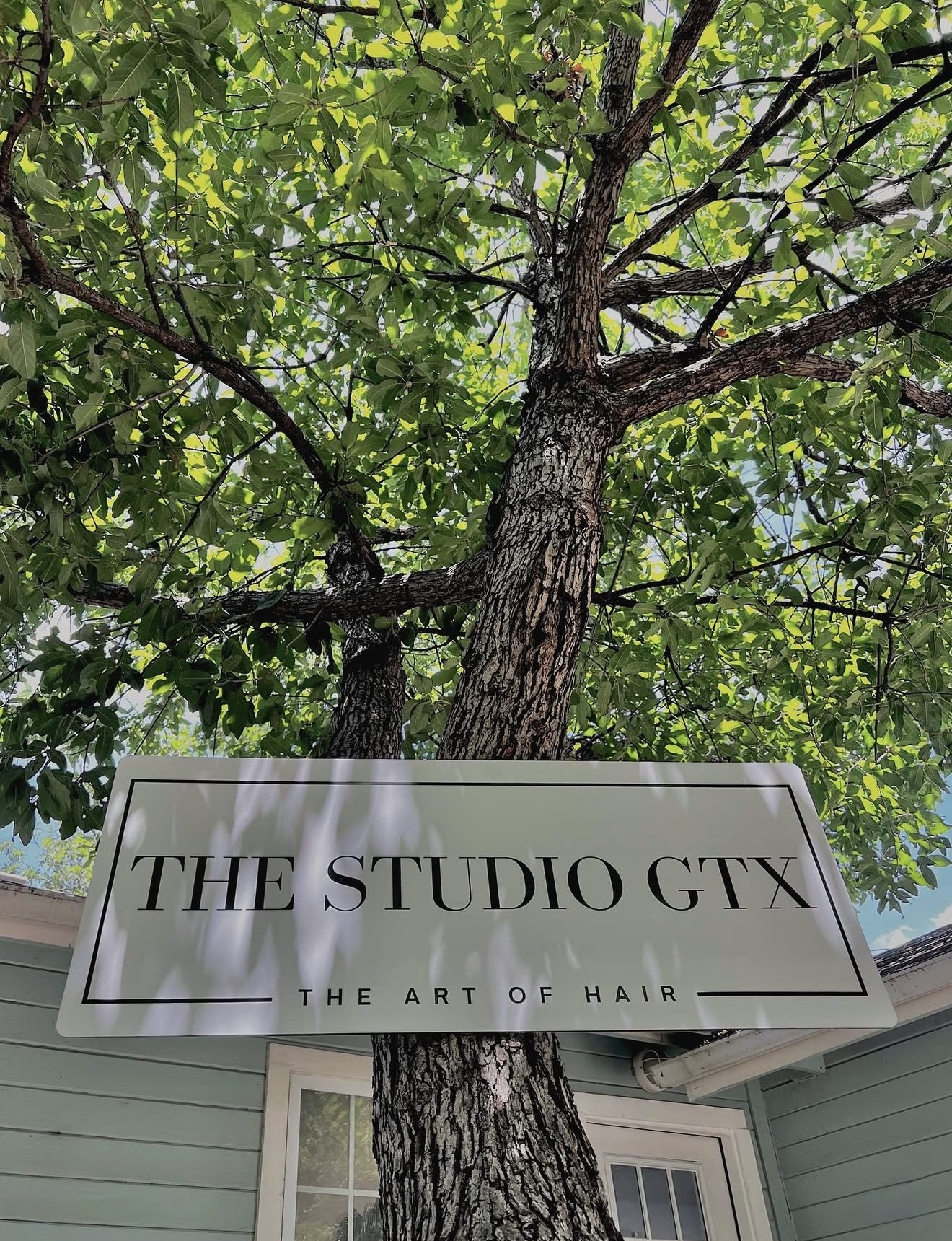 Tree with green leaves and a sign reading 'The Studio GTX' and 'The Art of Hair' below.