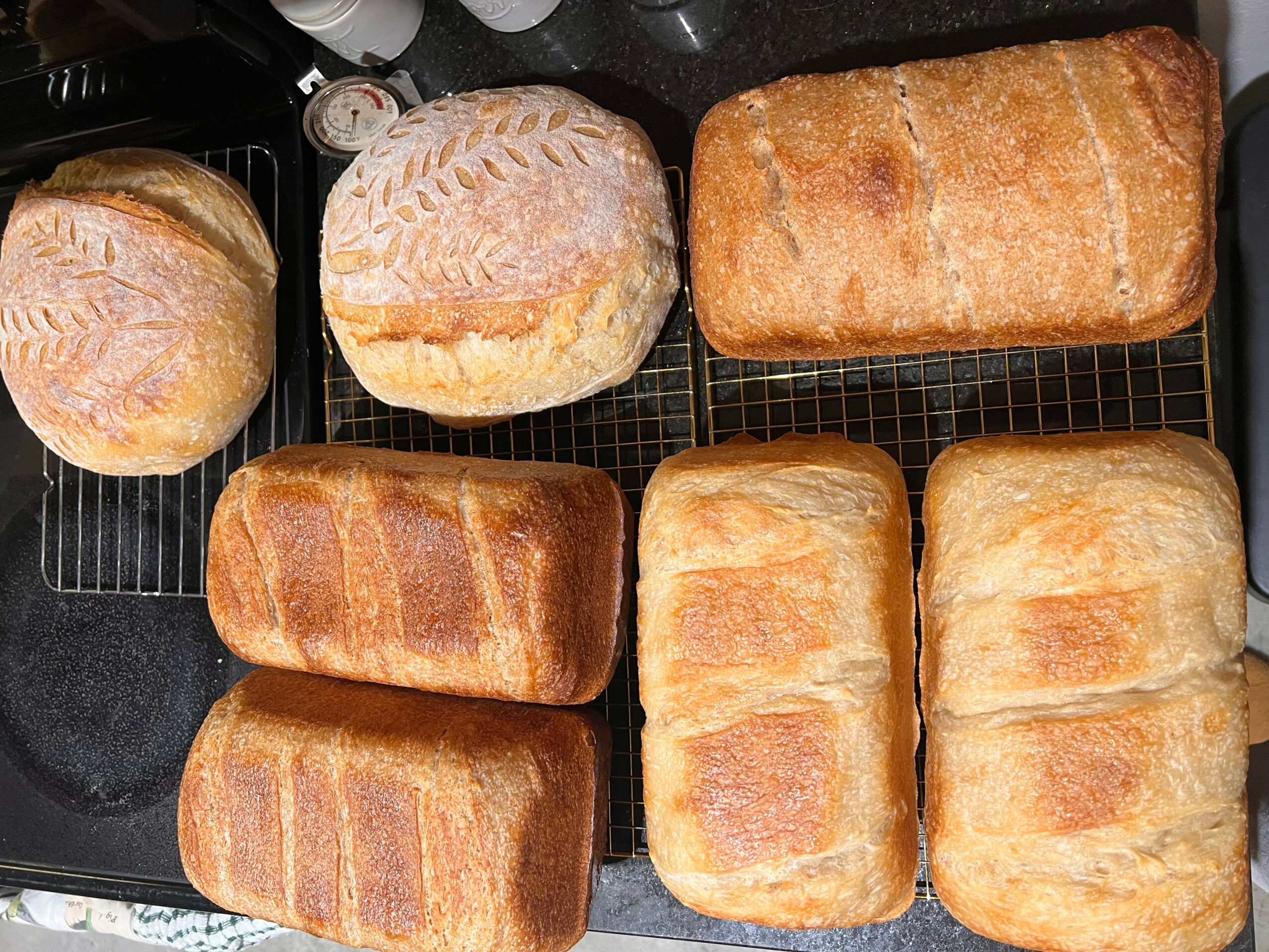 Six loaves of bread on a cooling rack, with three darker and three lighter loaves, some with scored tops.