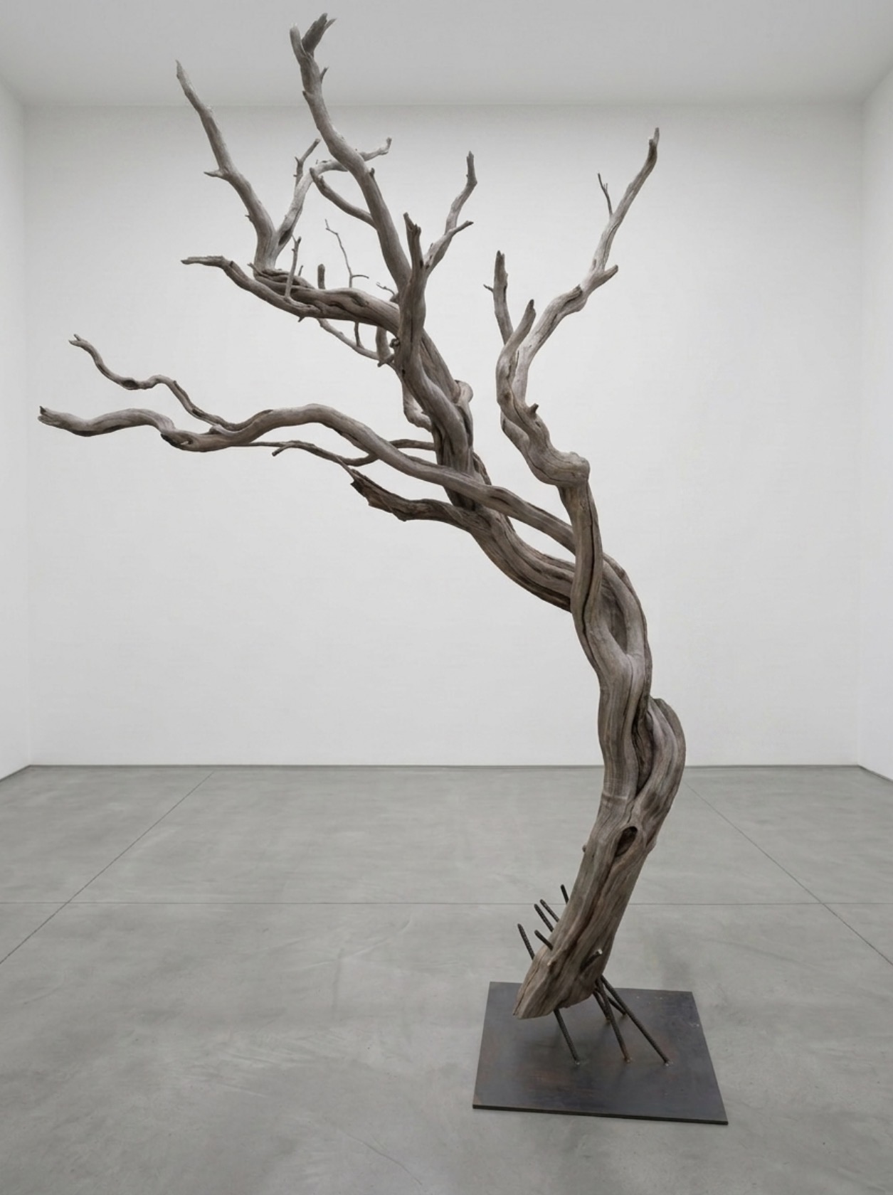 A leafless, twisted tree sculpture with multiple branches, mounted on a black base in a gallery space.