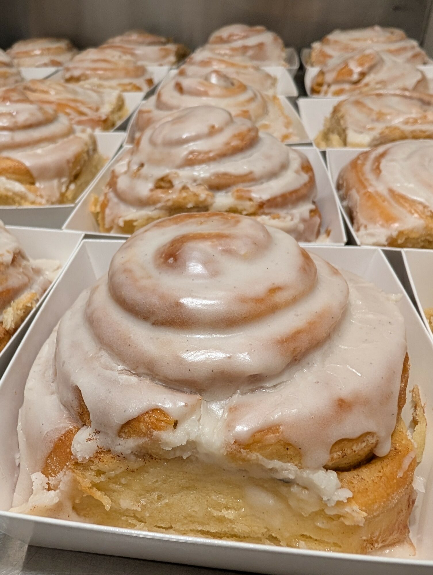 Cinnamon rolls with icing in individual white boxes, arranged in rows, viewed from above.
