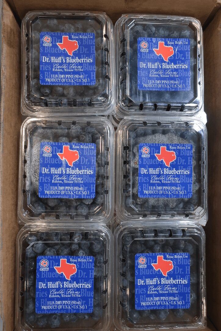 Six small containers of blueberries arranged in two columns and three rows, each with a blue label and red logo.