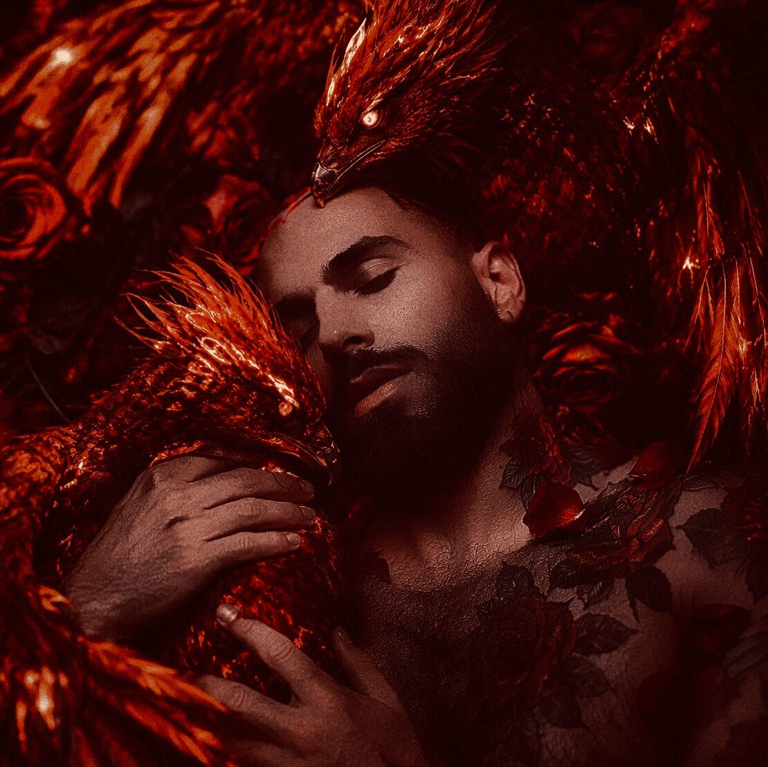 Person with closed eyes surrounded by red, fiery bird-like creatures, holding one close to their face.