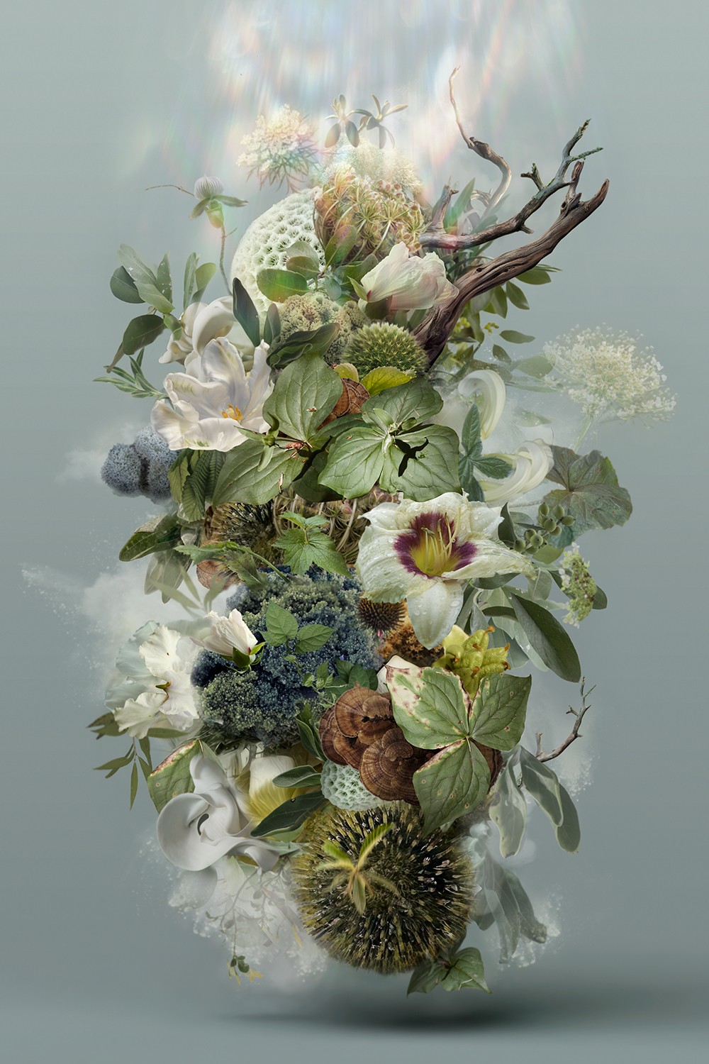 Arrangement of various flowers, leaves, and branches with a soft background, reflected below in water or glass, creating a mirror effect.