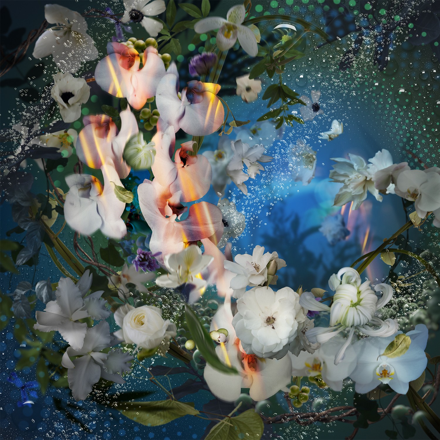 Flowers and leaves arranged in a circular pattern with colorful light reflections and a blue background.