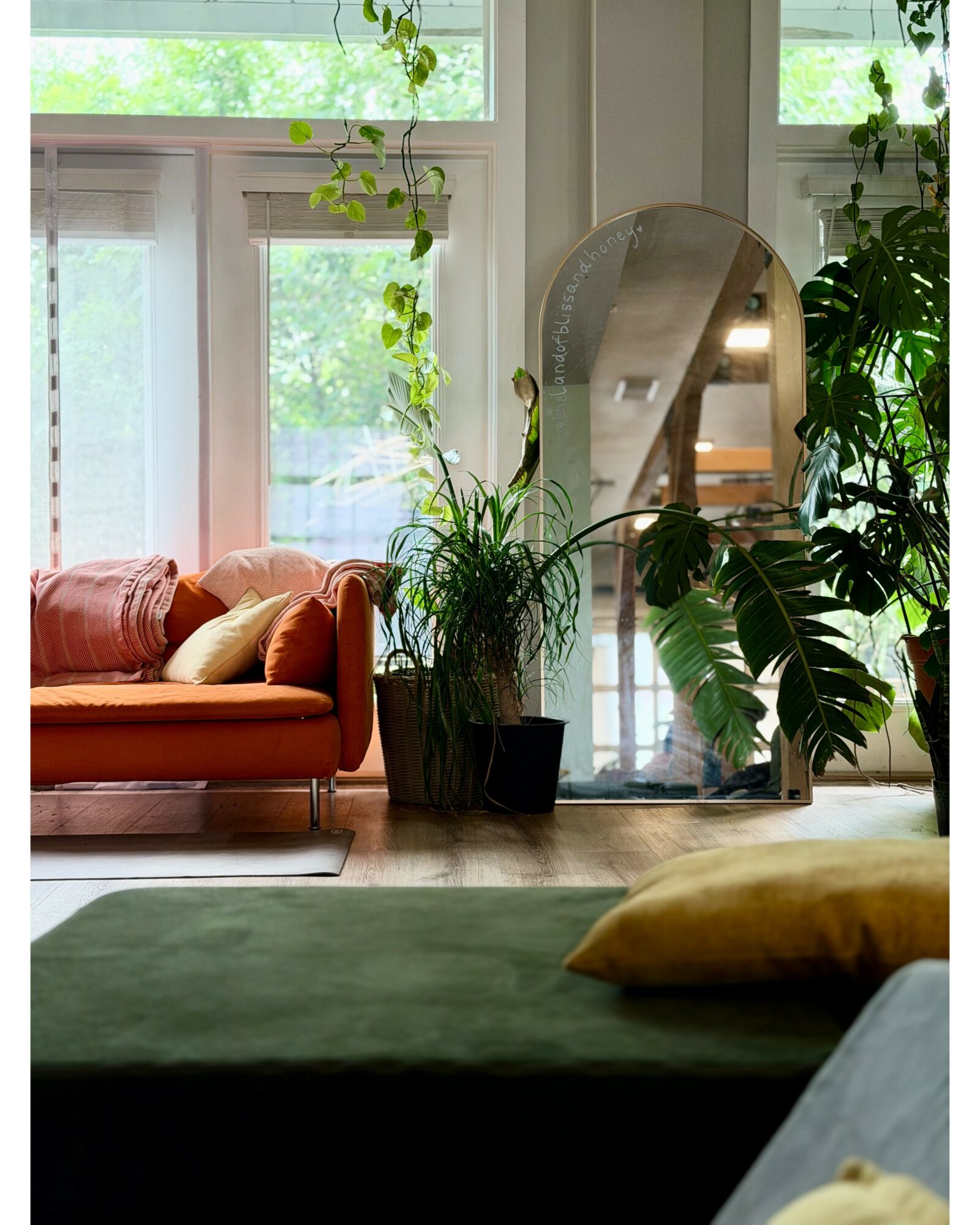 Living room with orange sofa, large mirror, and green plants near windows, sunlight streaming in.