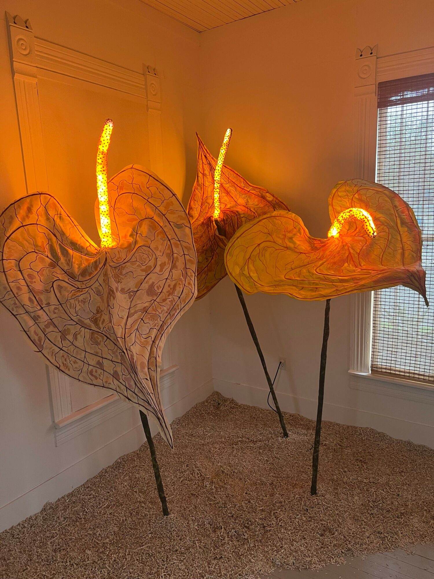 Two illuminated fabric dragon sculptures with wings and horns, standing on thin metal poles in a room with carpeted floor.