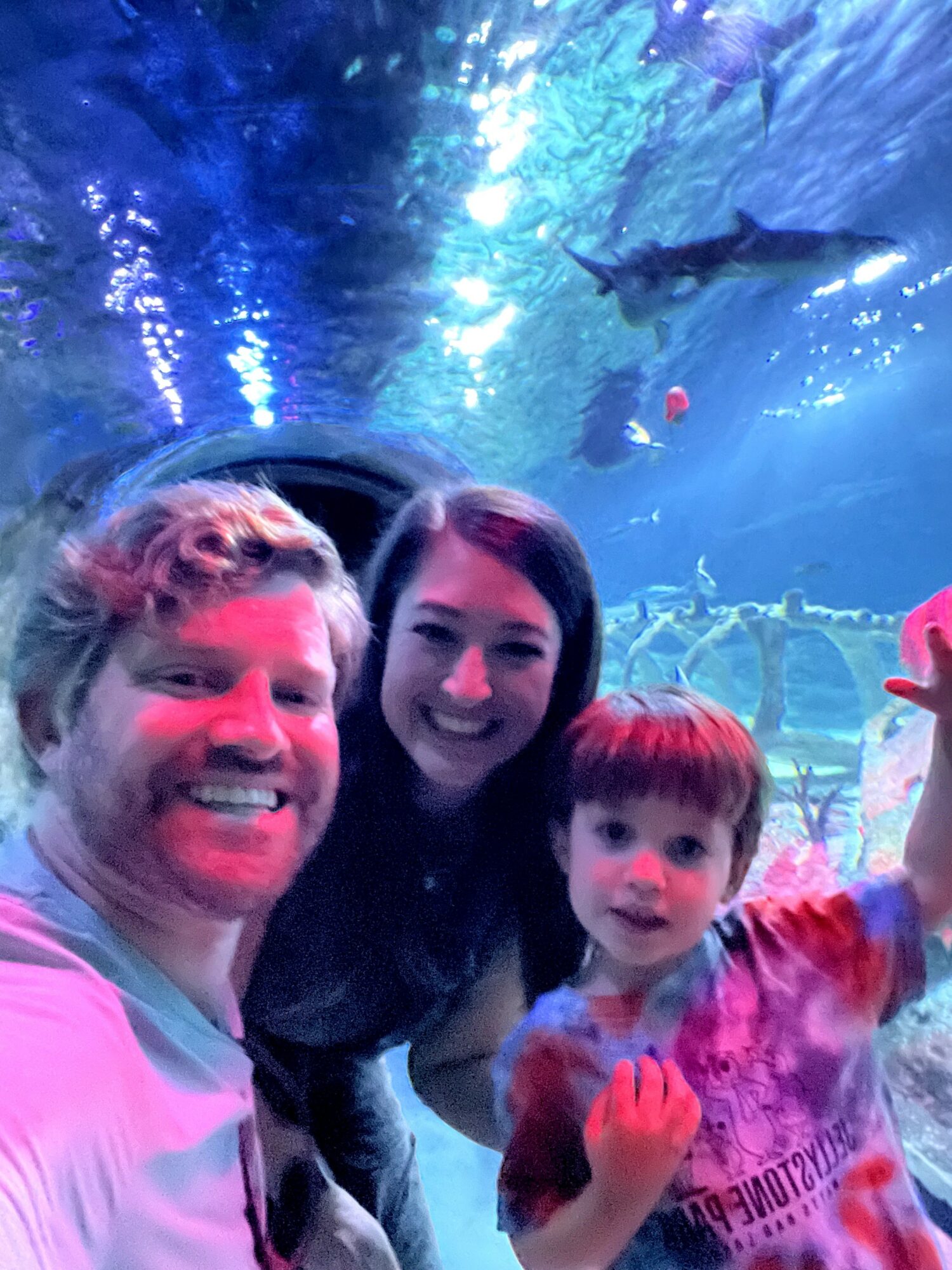 Three people, a man, woman, and child, smiling underwater in an aquarium with a shark swimming above.