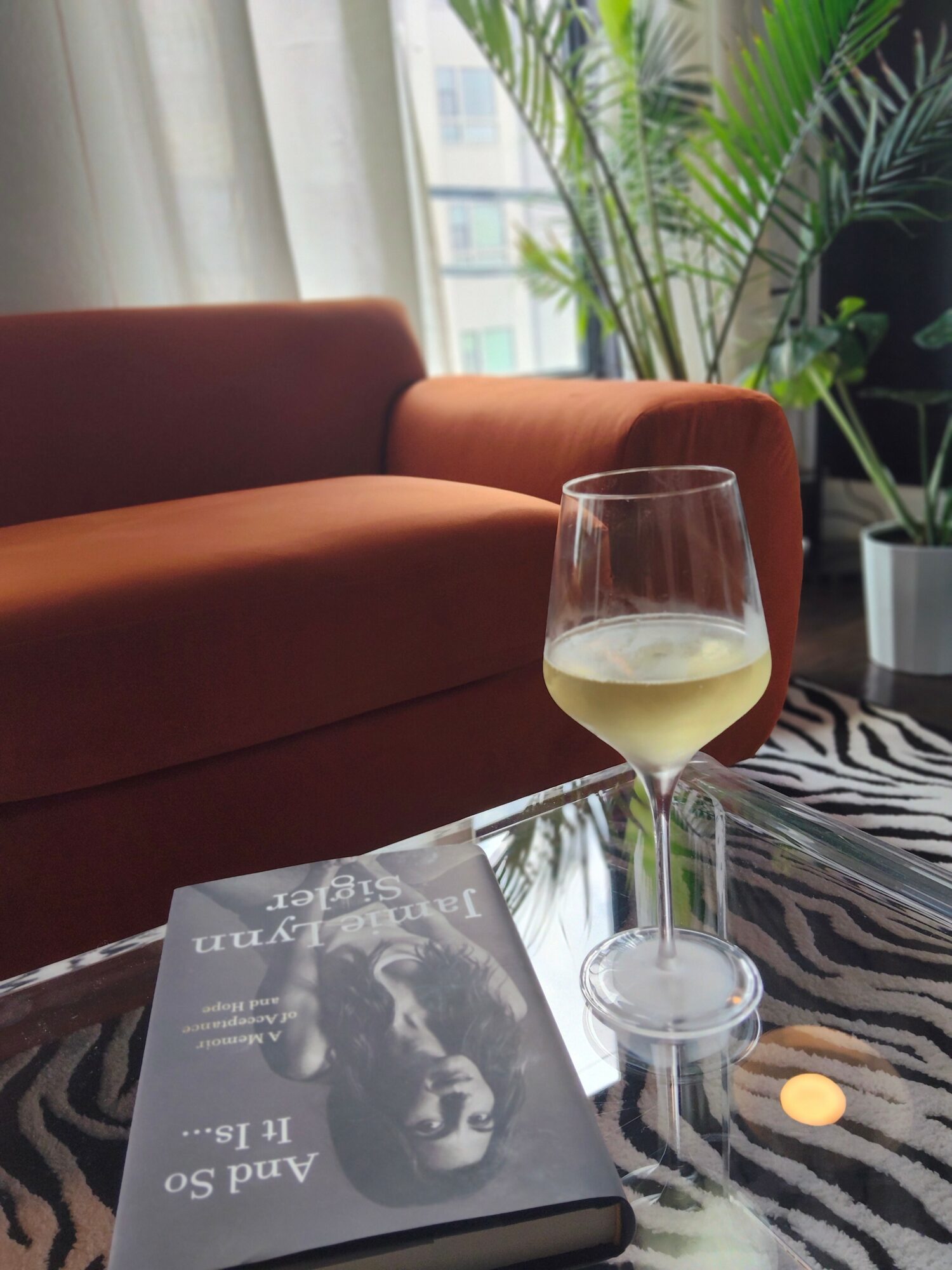 Living room with a red sofa, a glass of white wine on a zebra-patterned table, and green plants near a window.