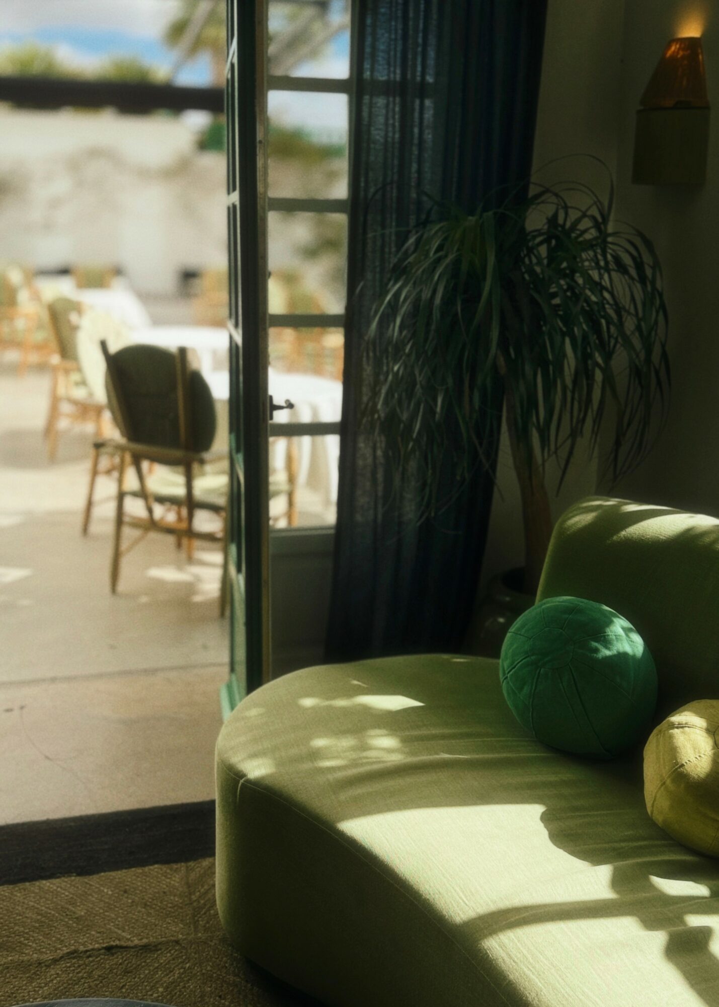 Sunlight streams into a room with a green sofa and a large potted plant, with an outdoor patio visible through glass doors.