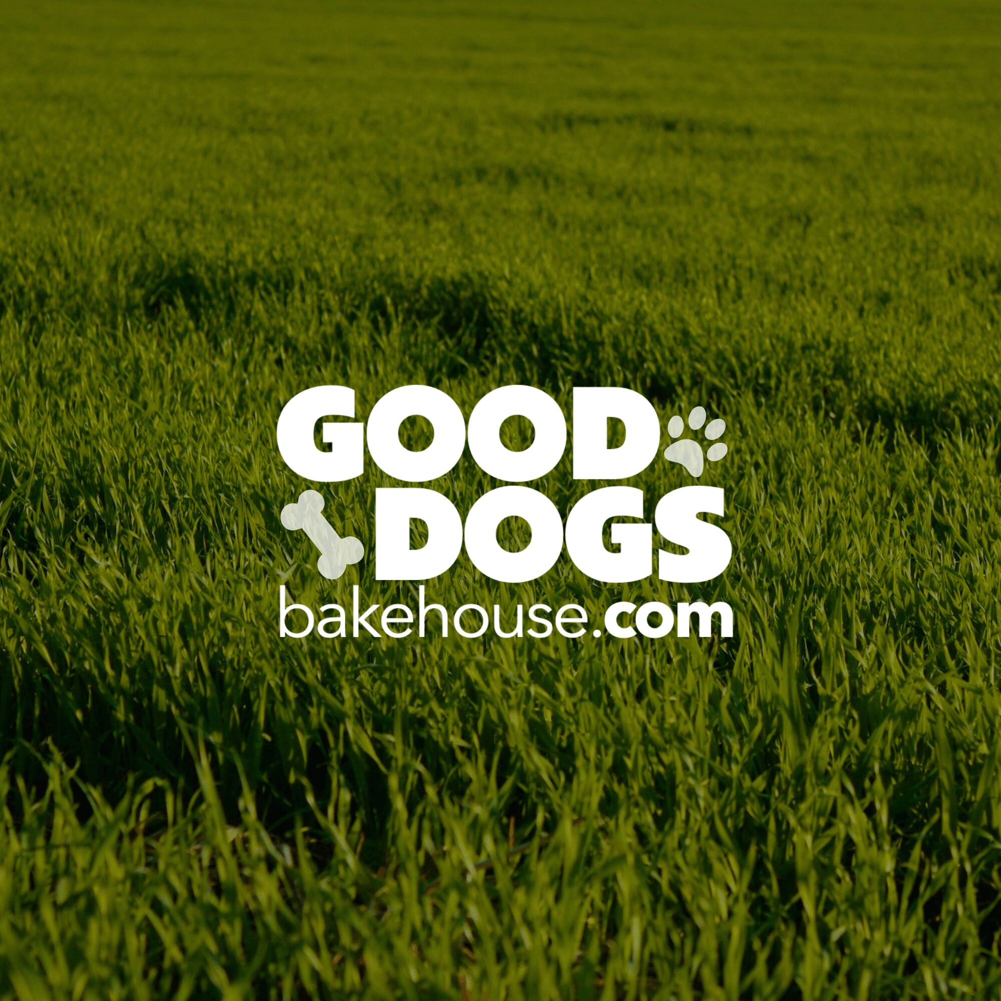 Green grassy field with white text reading